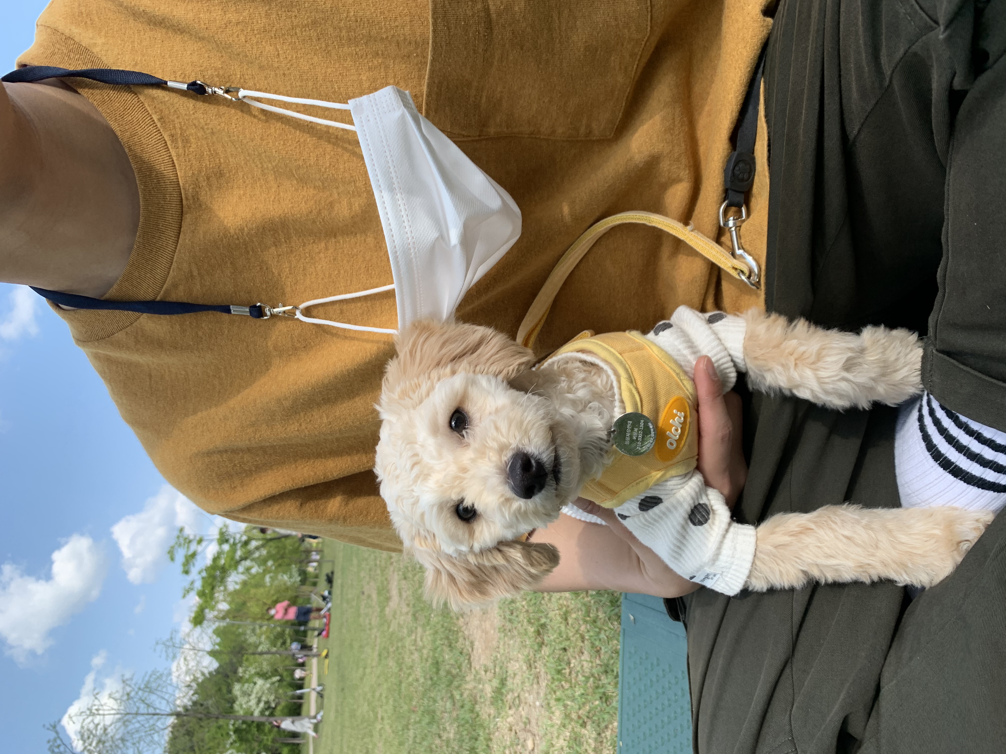 해랑이 자견 해이 잘 지내고 있어요