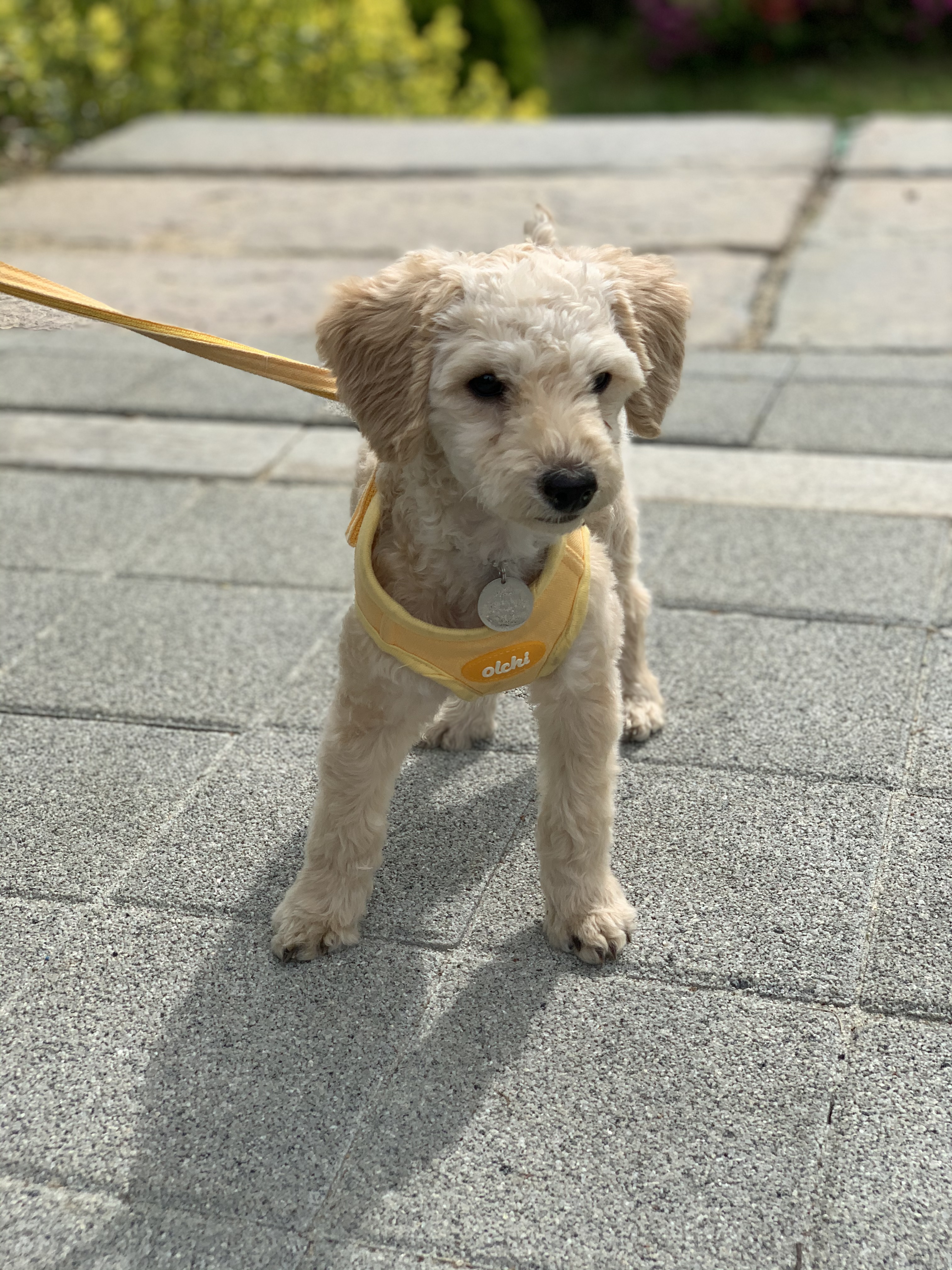 해랑이 자견 해이 잘 지내고 있어요