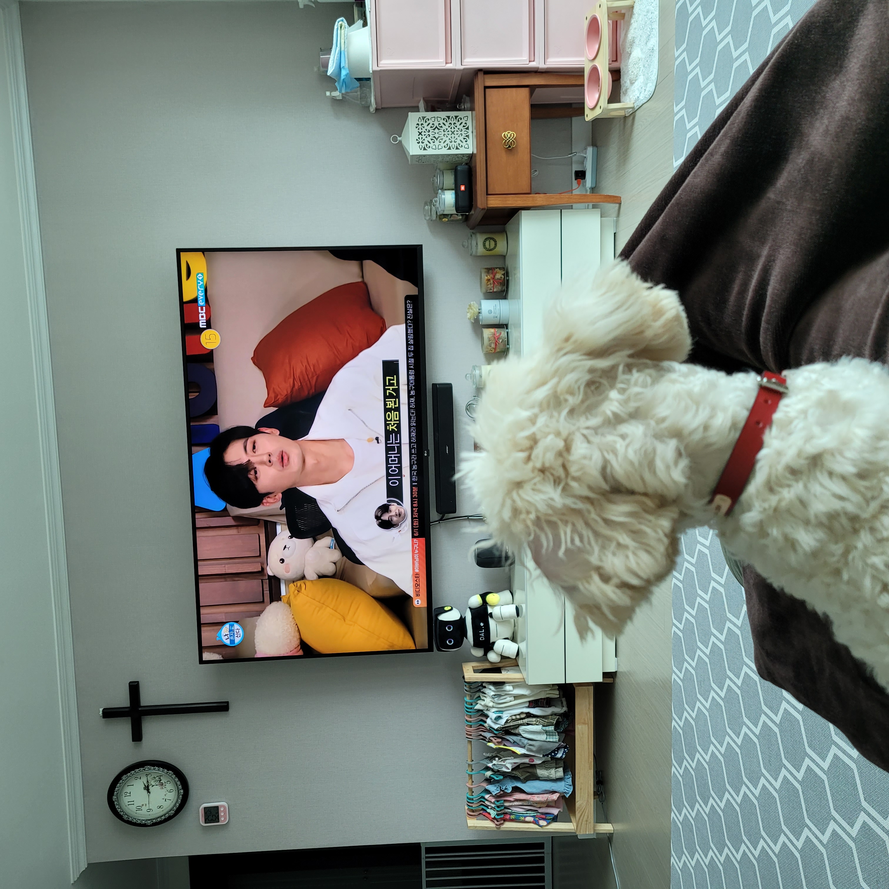 푸사 (보리) 3개월차