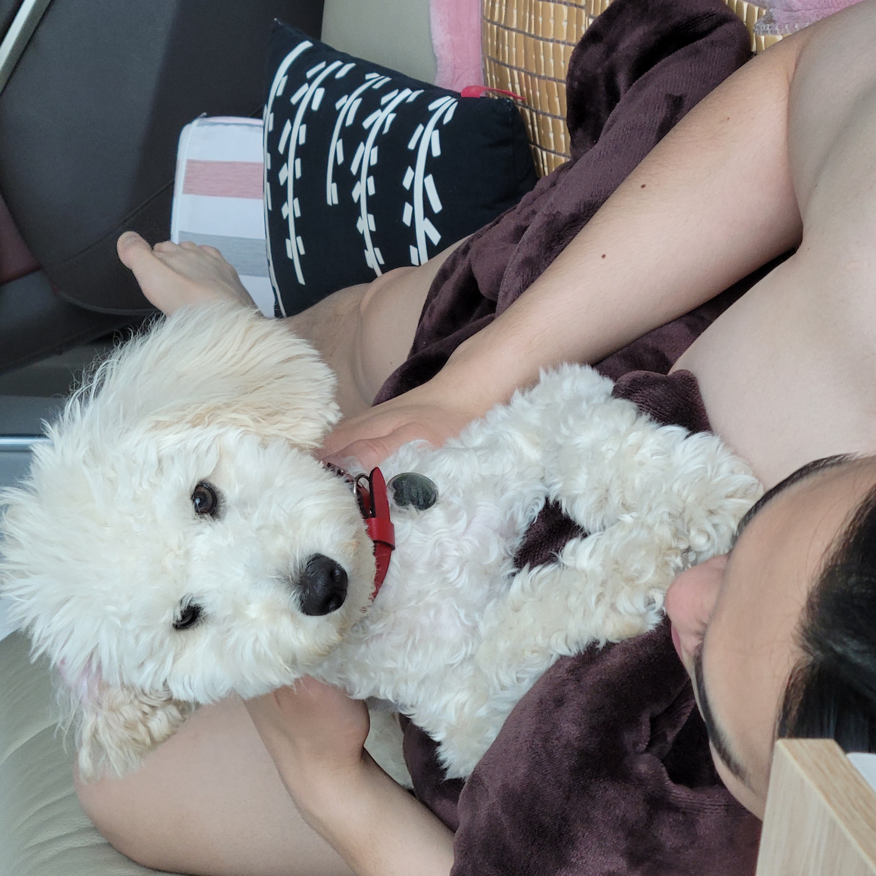 푸사 (보리) 3개월차