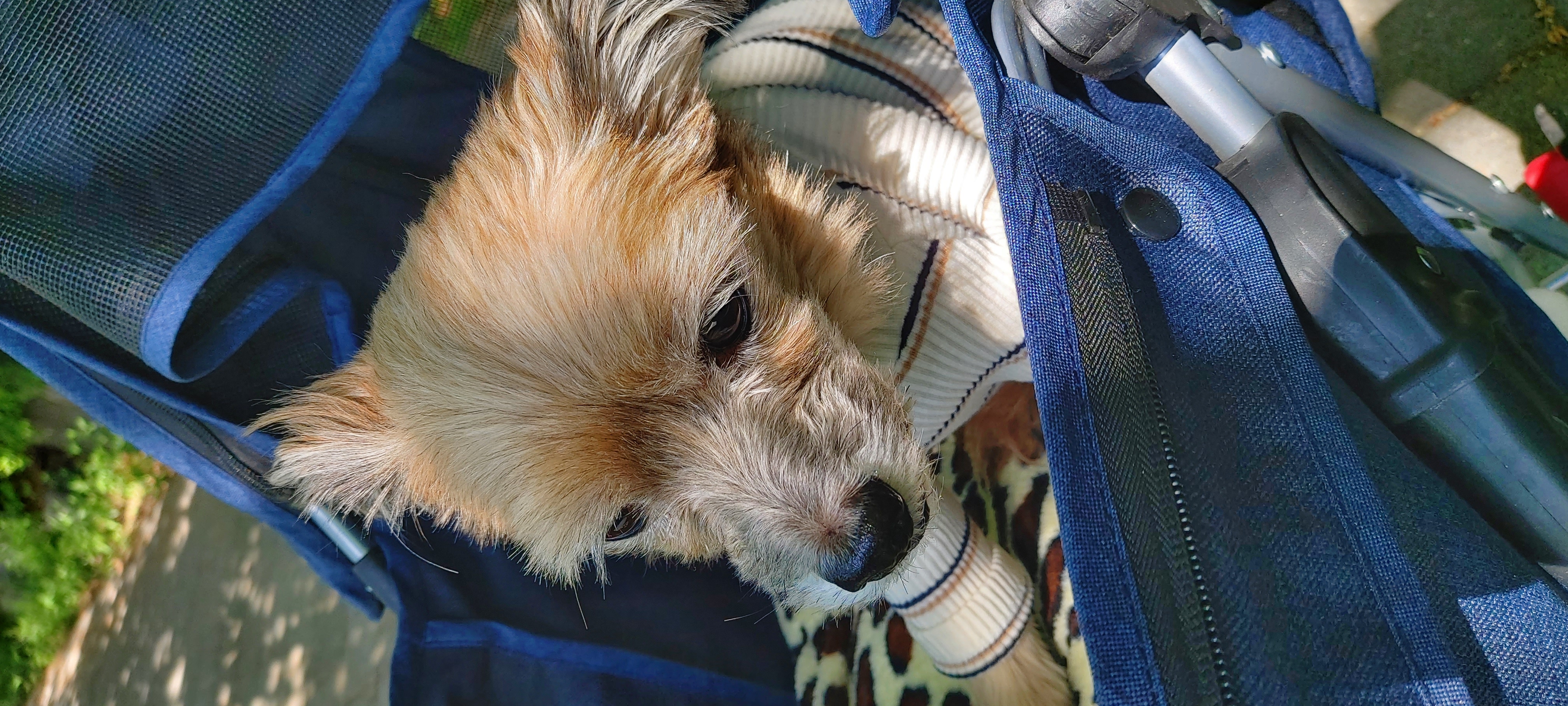 대방이(현재 대박이)