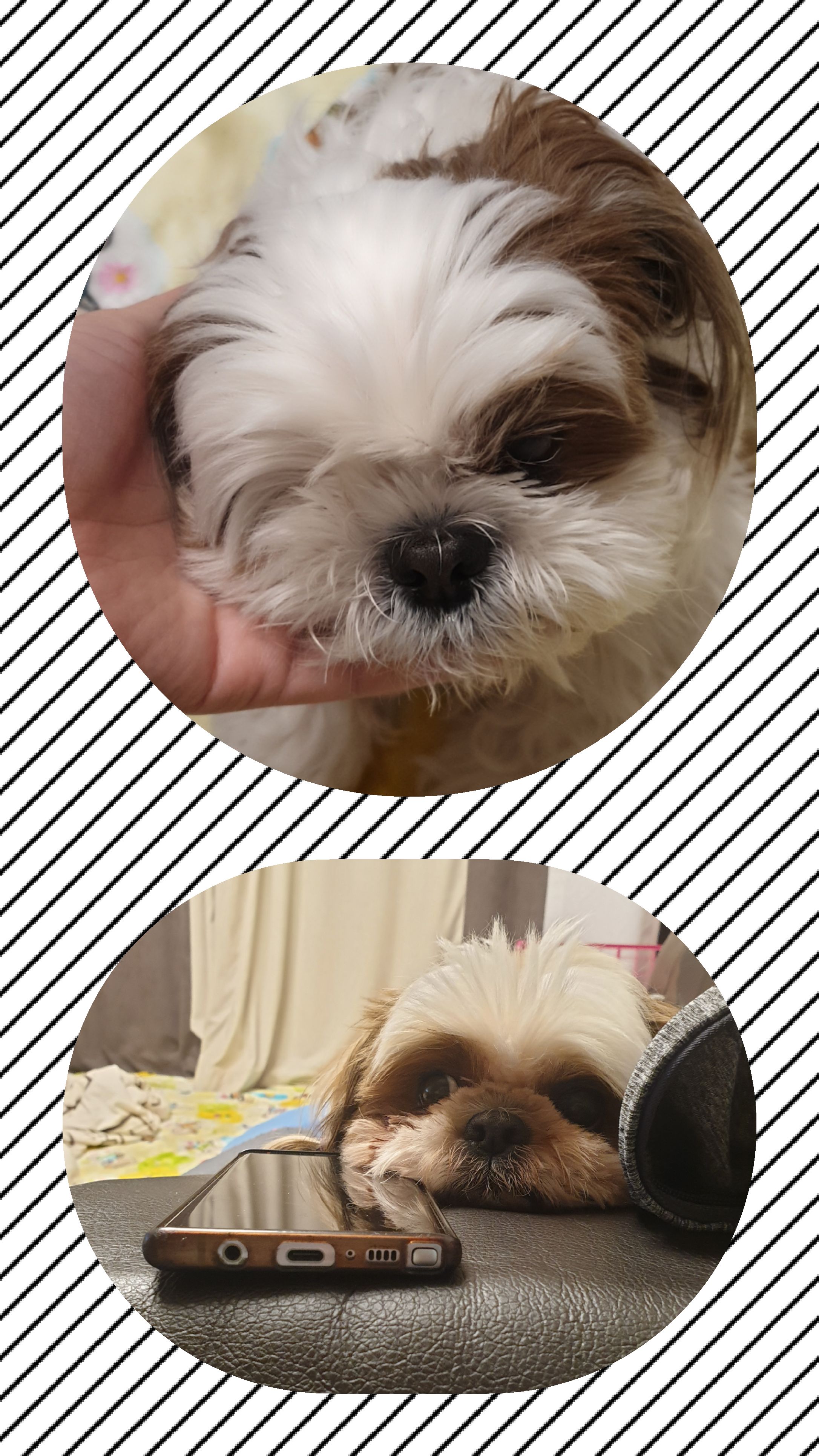 샘이랑복민이의 5월이야기♡