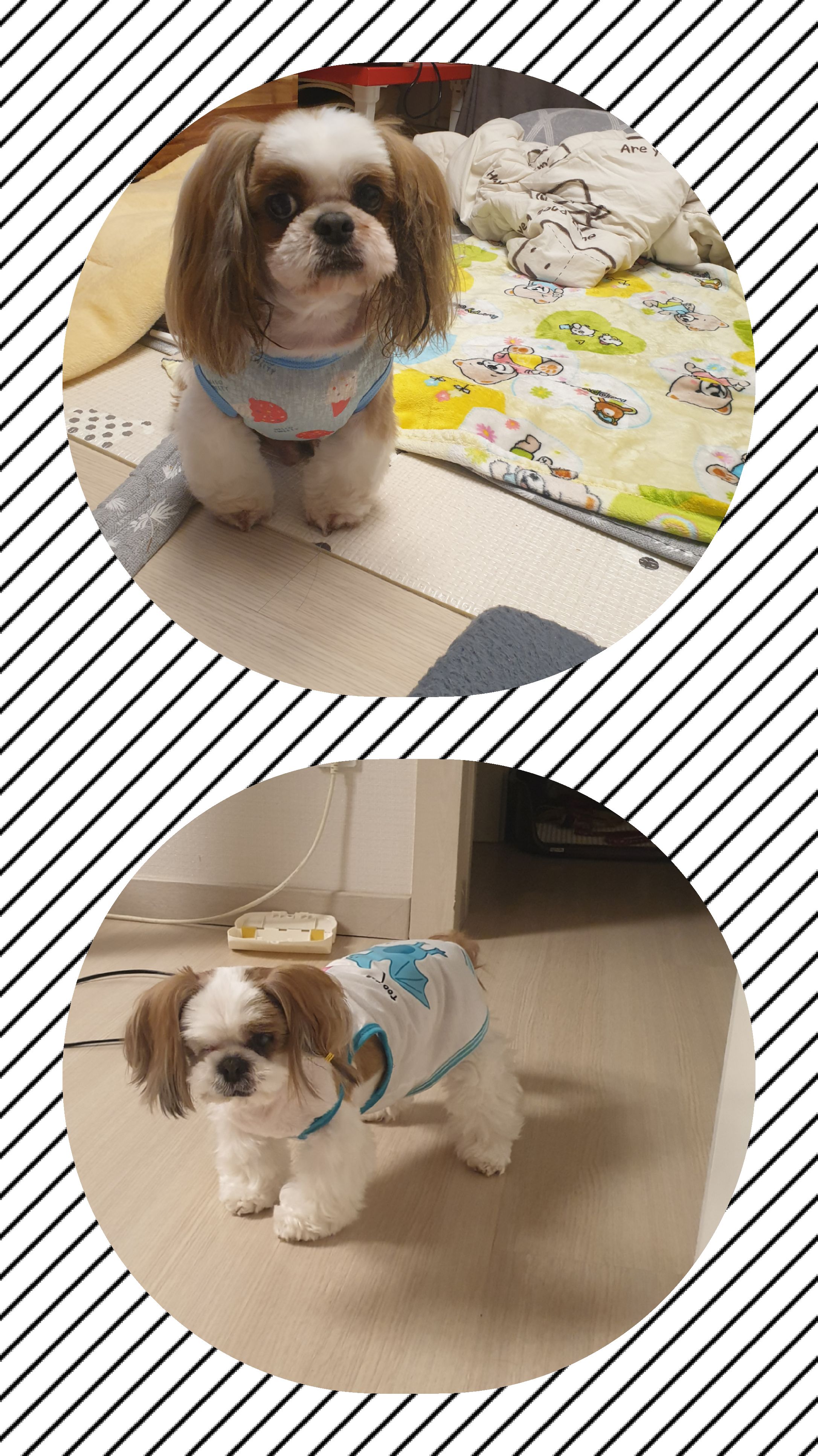 샘이랑복민이의 5월이야기♡