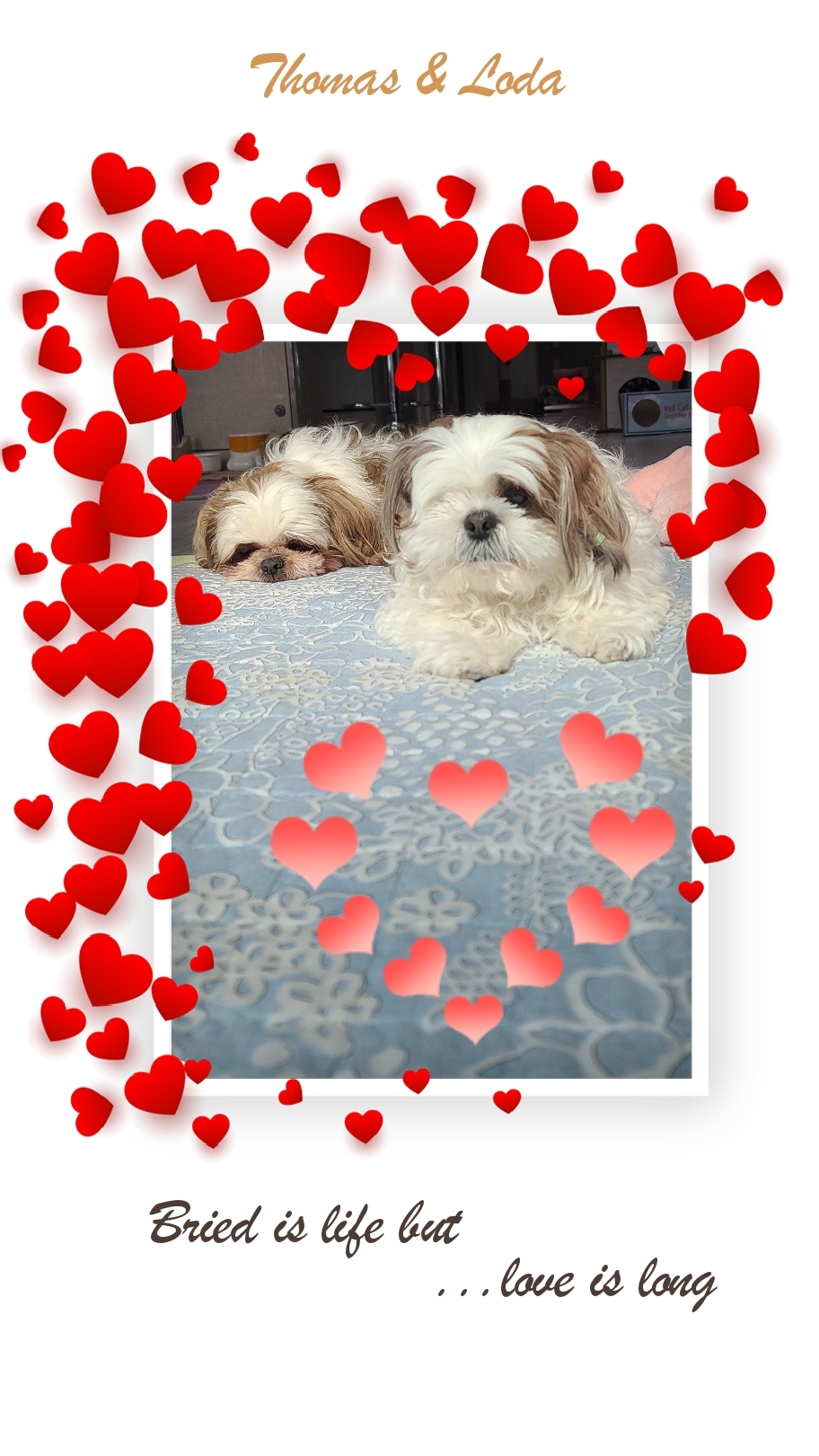 샘이랑복민이의 5월이야기♡