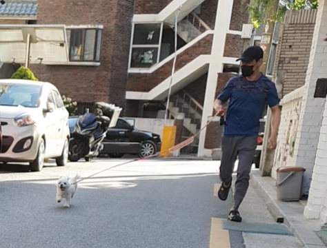 곤지암 길동이♡ 입양 한달!