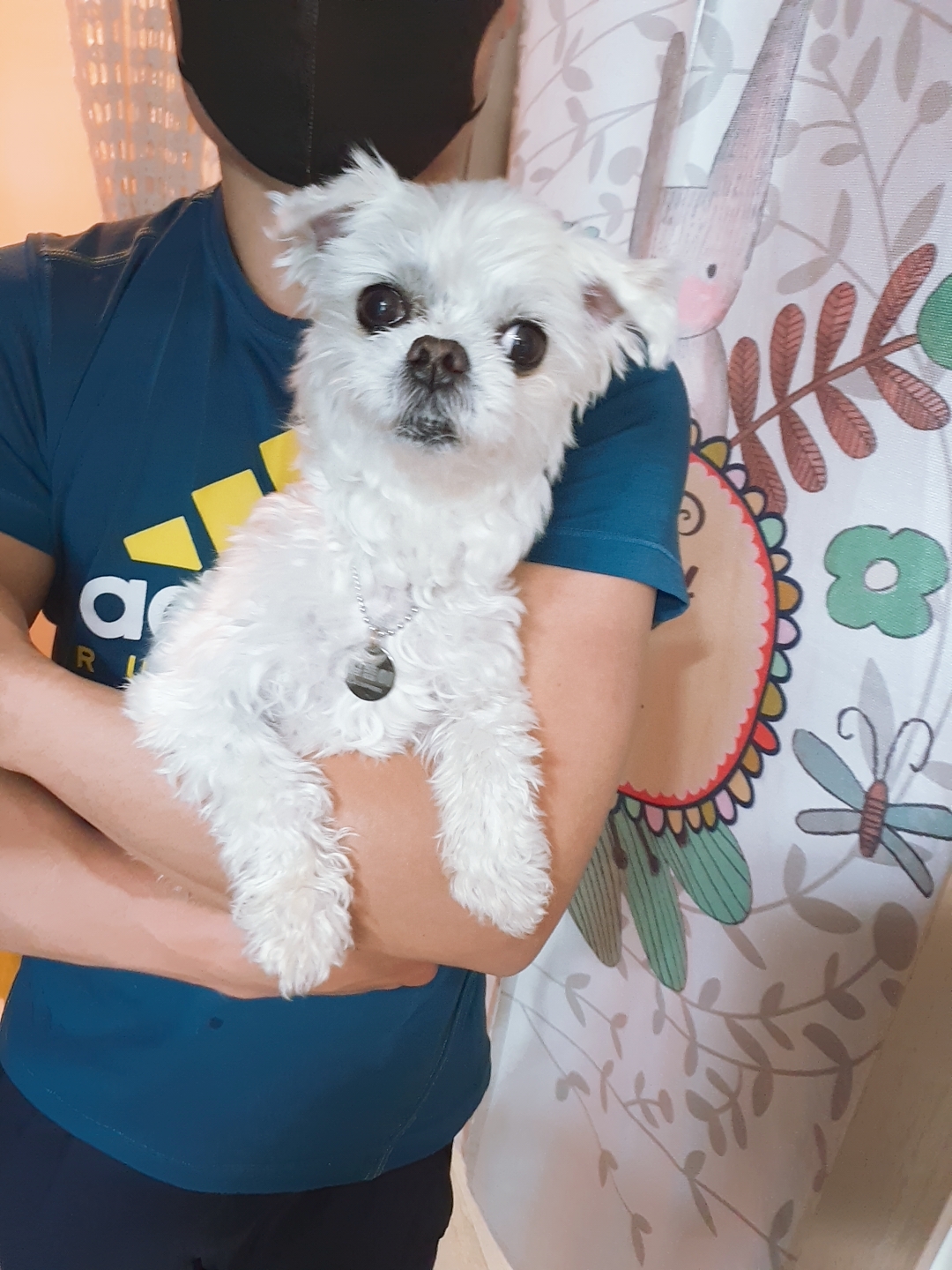 곤지암 길동이♡ 입양 한달!