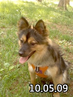 베를린이 12살이 되었어요