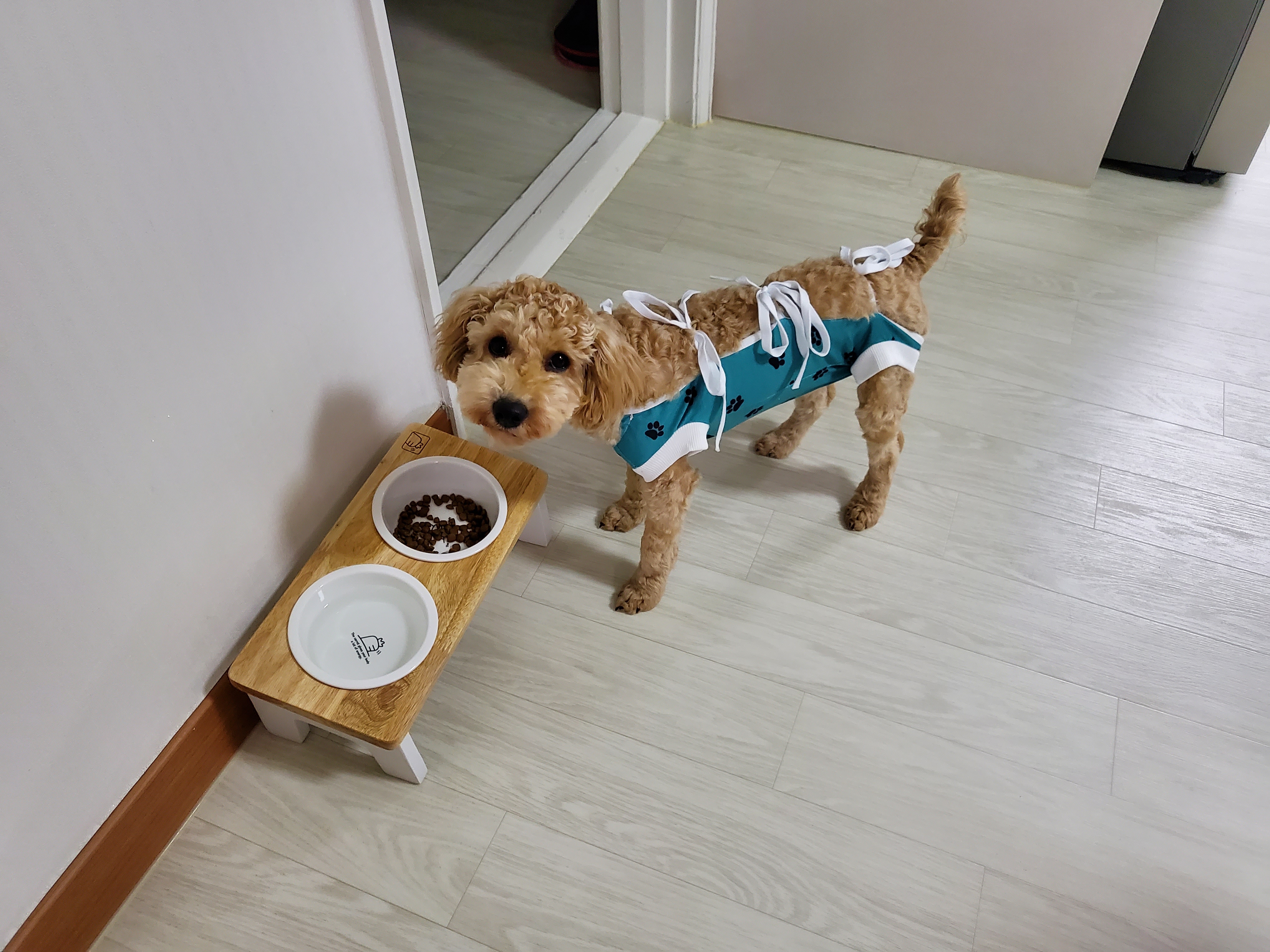 해피입양. 3개월후