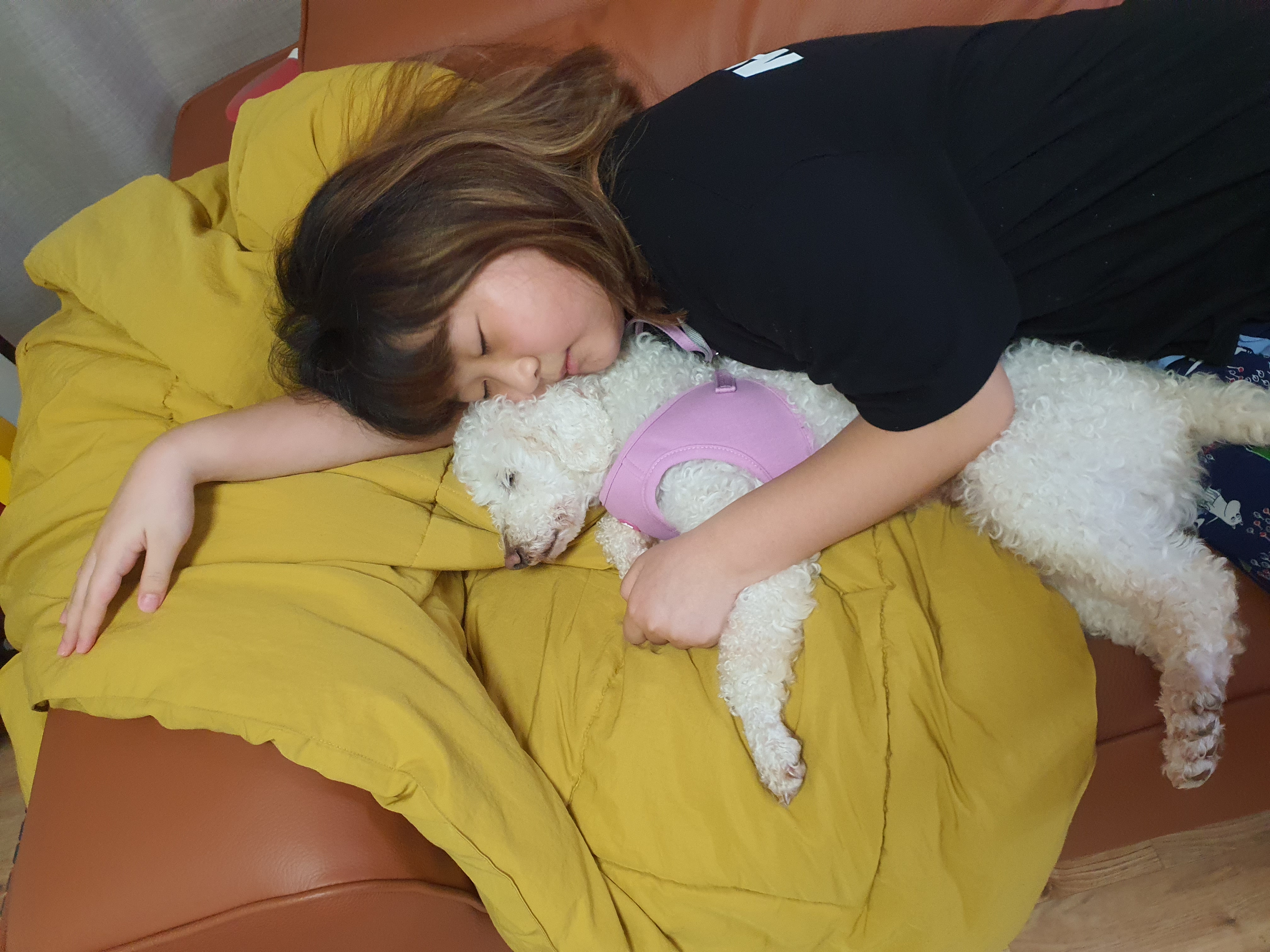 레일이 ( 현 : 최고다 ) 우리 고다 일주일 후 후기!! 😚