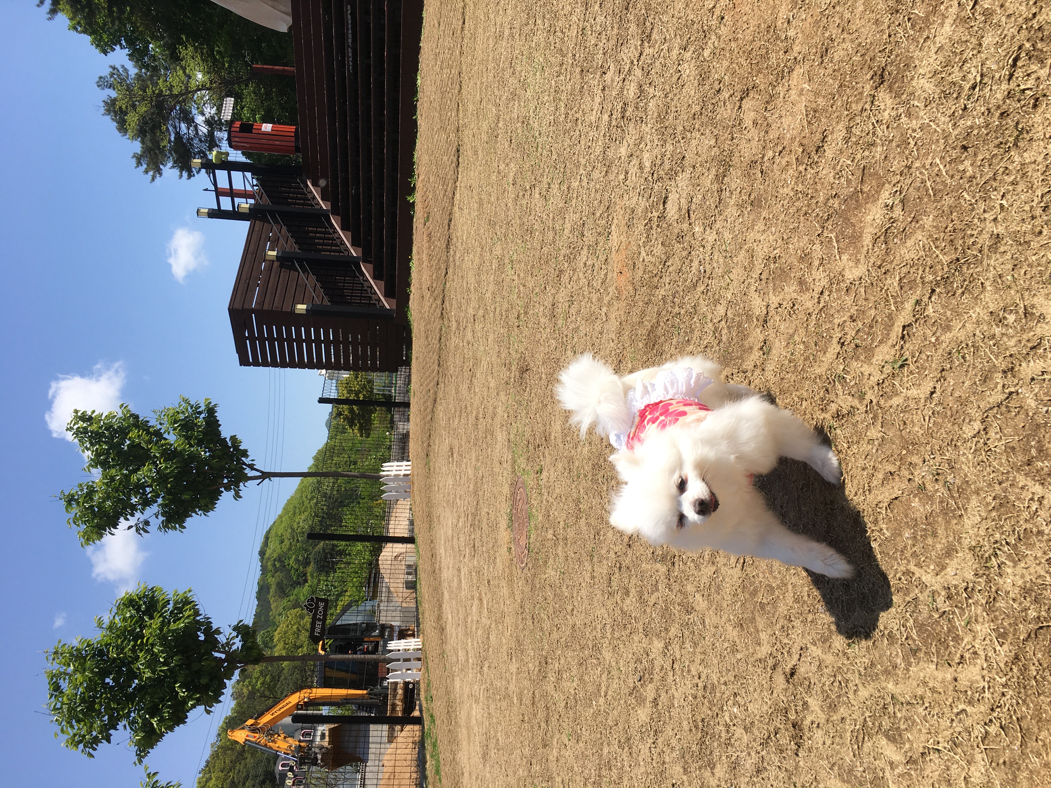 곤지암 꾸르미 늦은 임보후기 올립니다