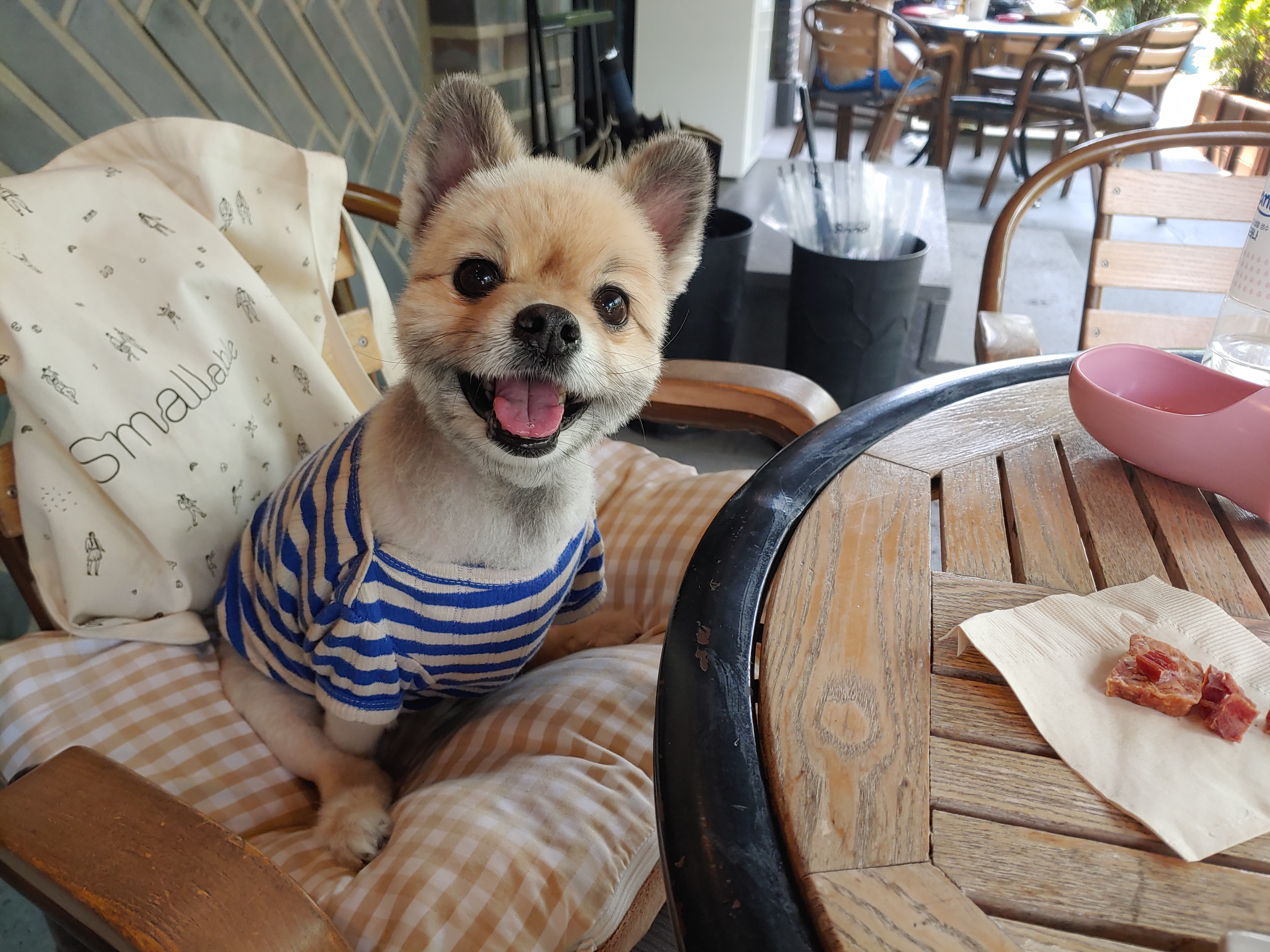 천송이와 함께한 1년 