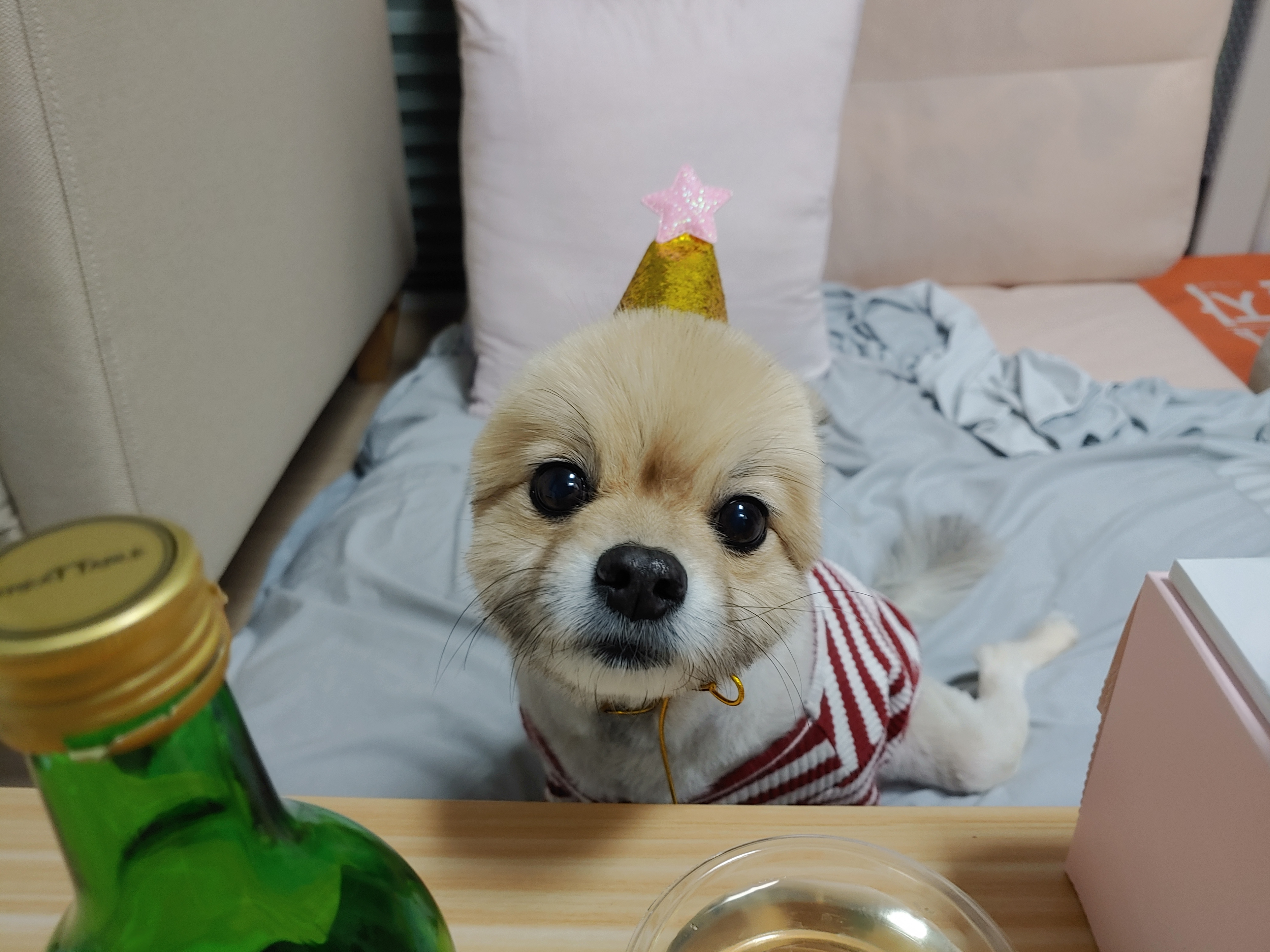 천송이와 함께한 1년 