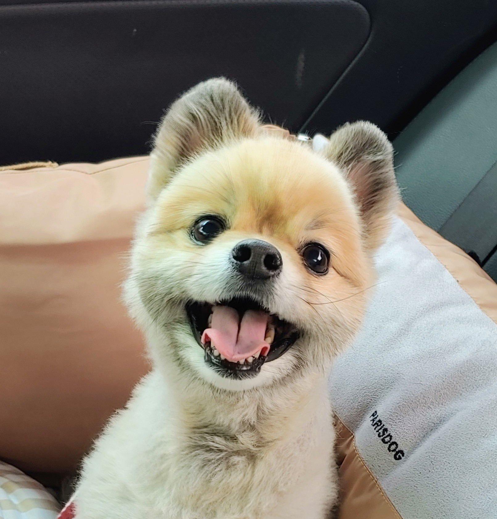 천송이와 함께한 1년 