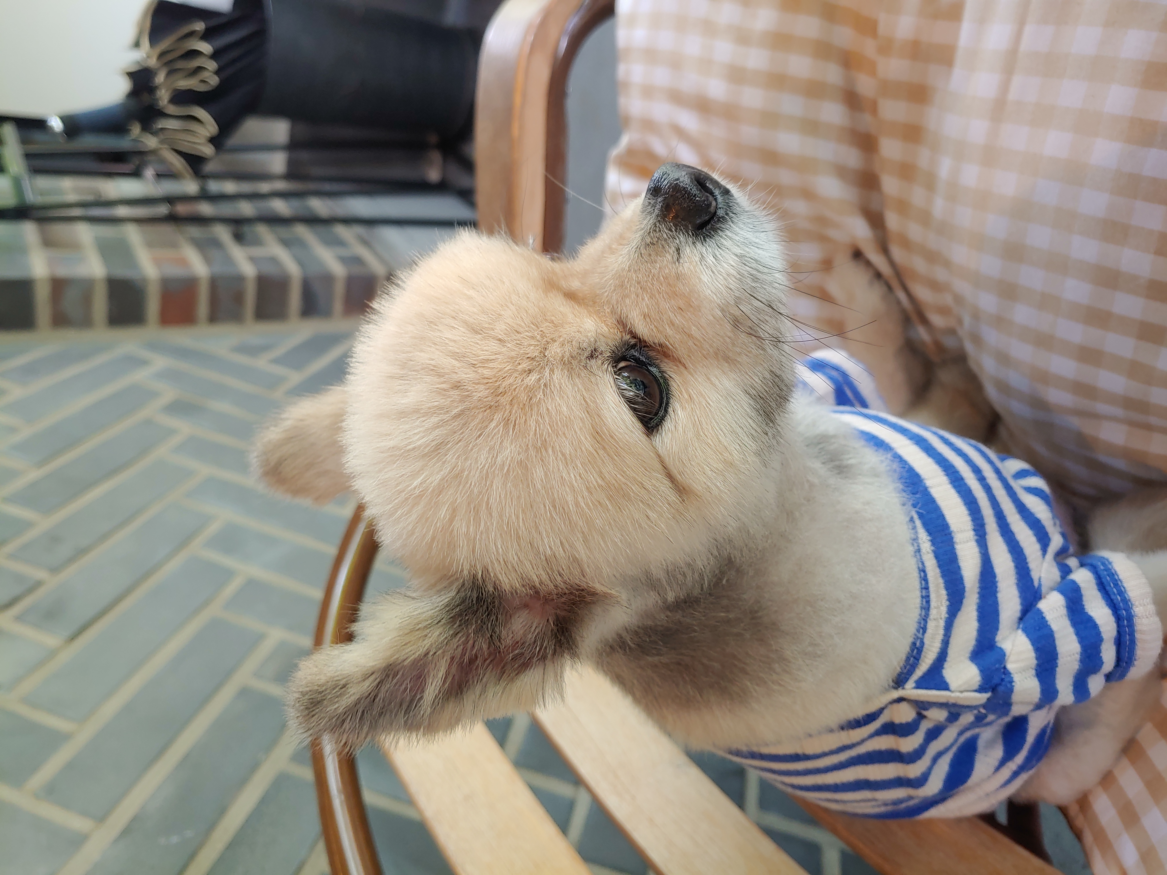 천송이와 함께한 1년 