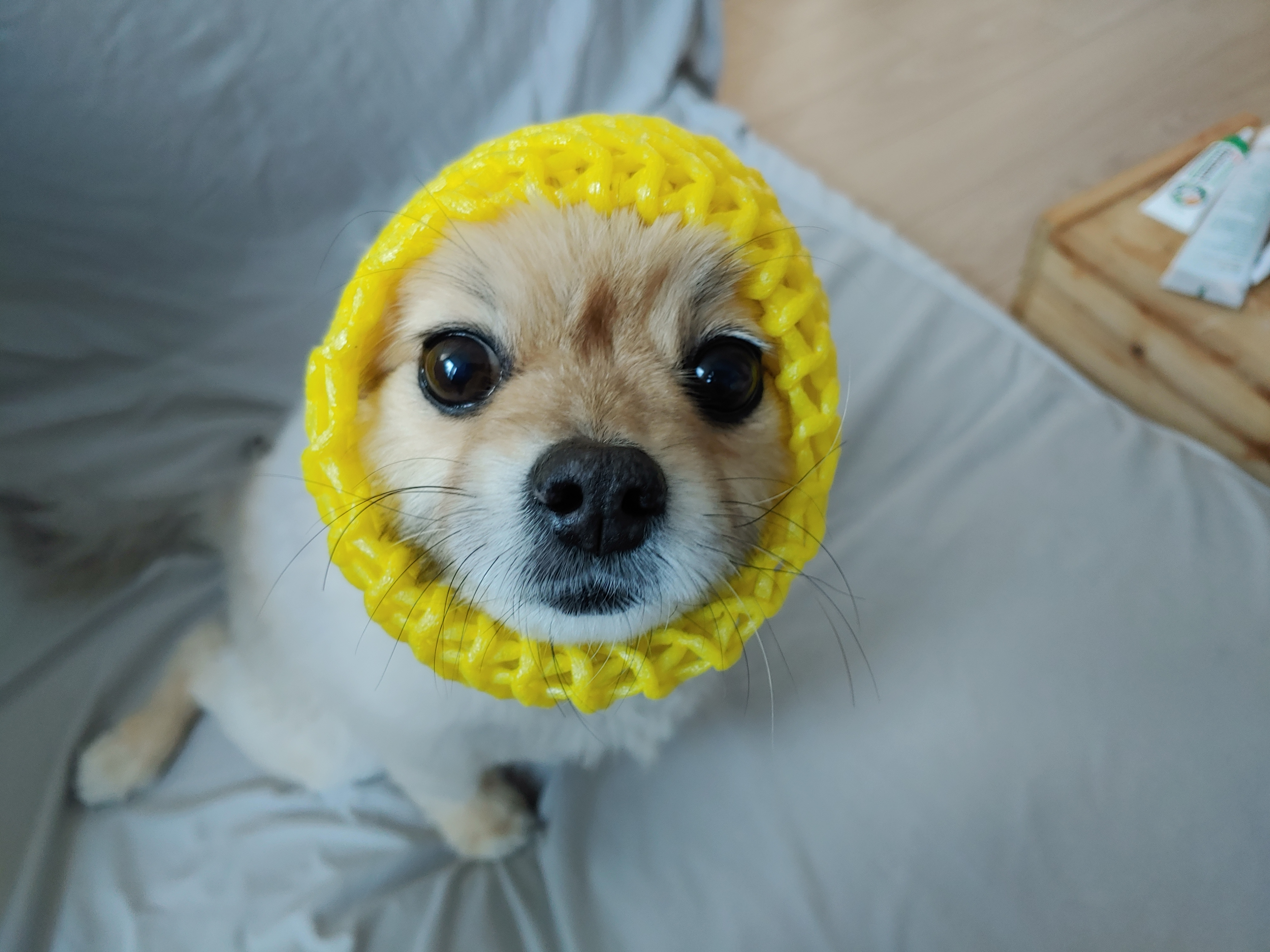 천송이와 함께한 1년 