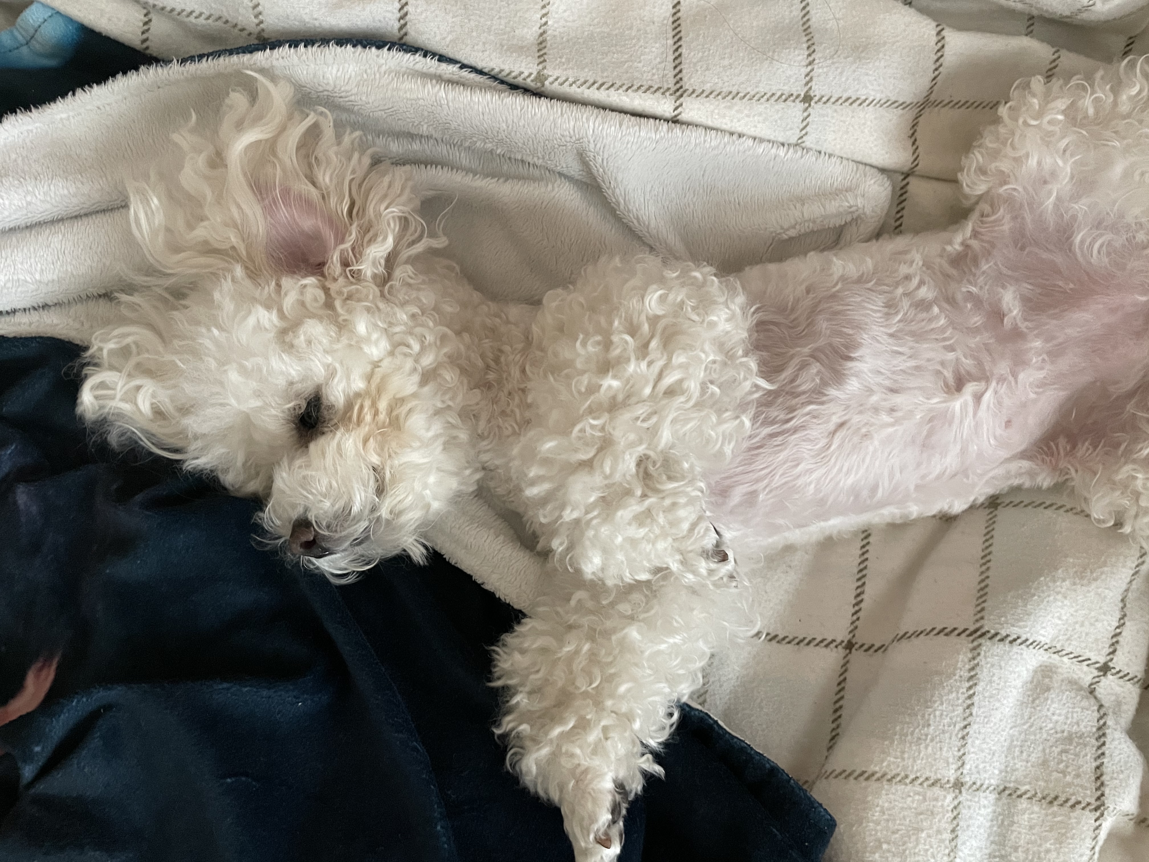 두리와 함께한지 1년이에요!(구 사랑이)