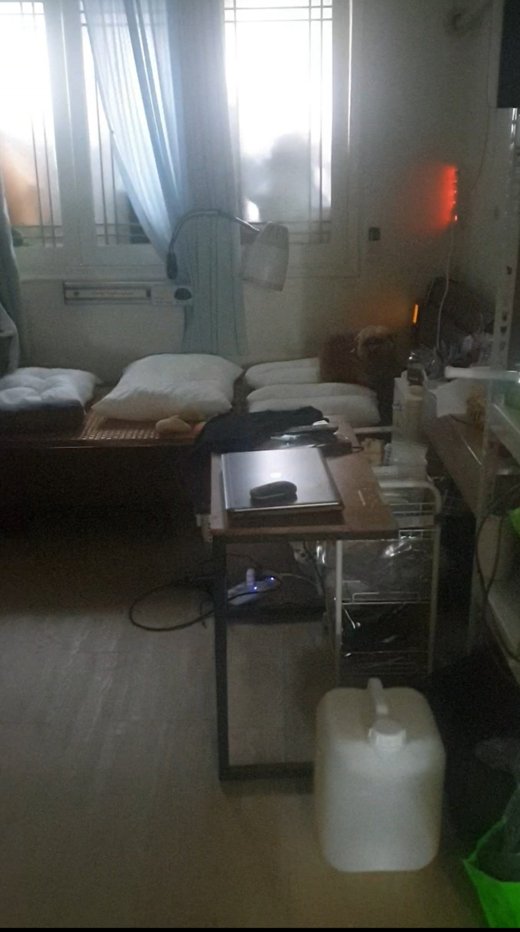 봄이 한달 입양 후기