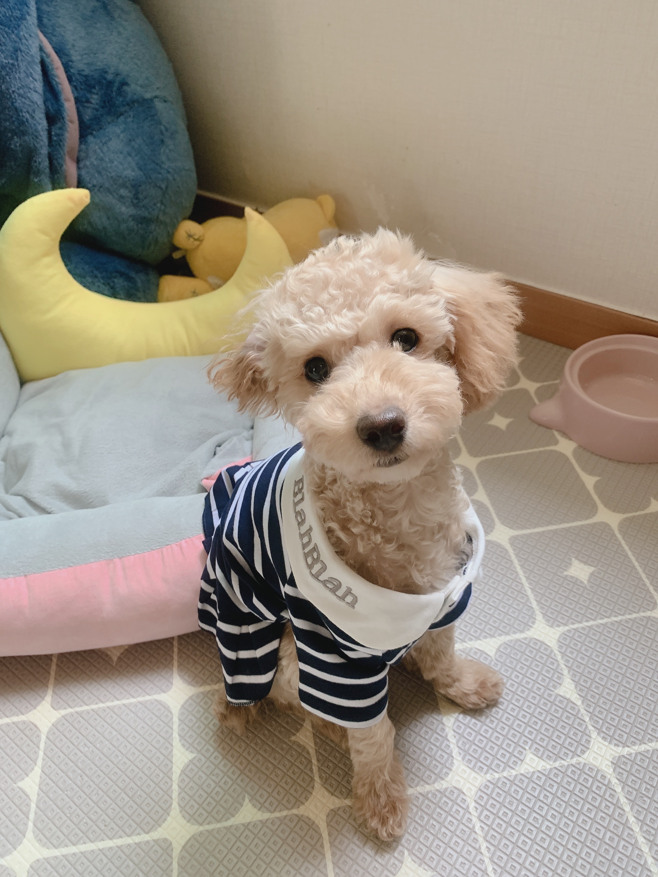 초이(곤지암-해삼) 육아 3개월의 기록