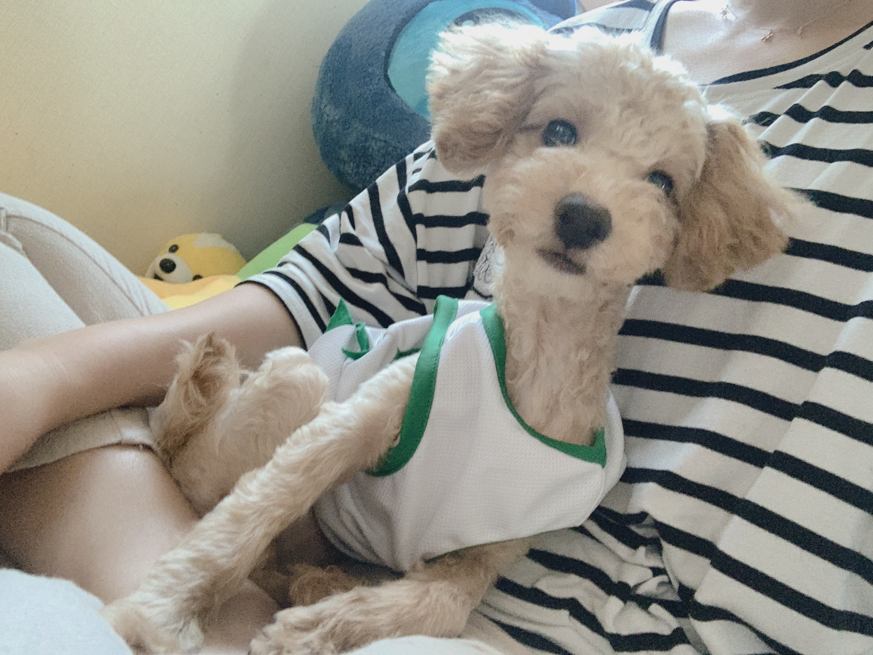 초이(곤지암-해삼) 육아 3개월의 기록