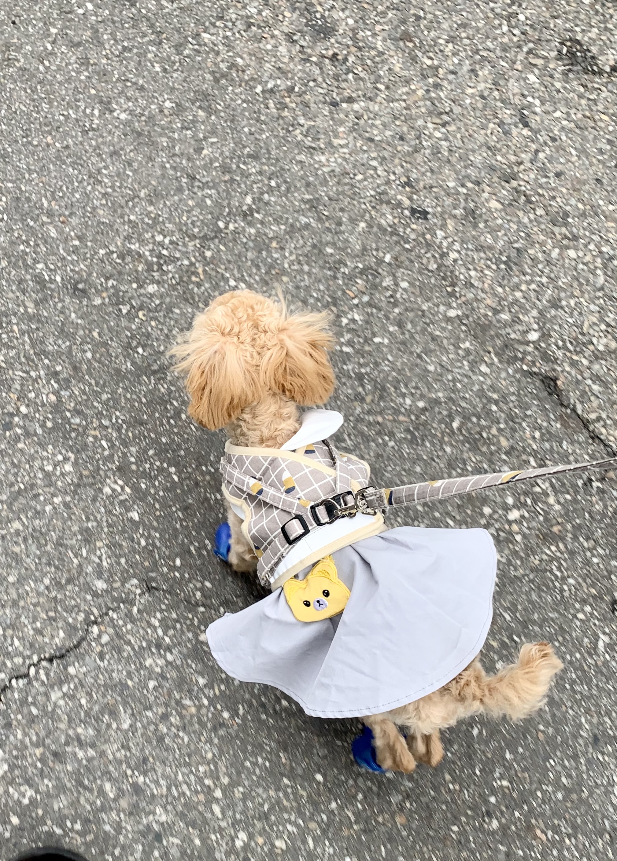 초이(곤지암-해삼) 육아 3개월의 기록