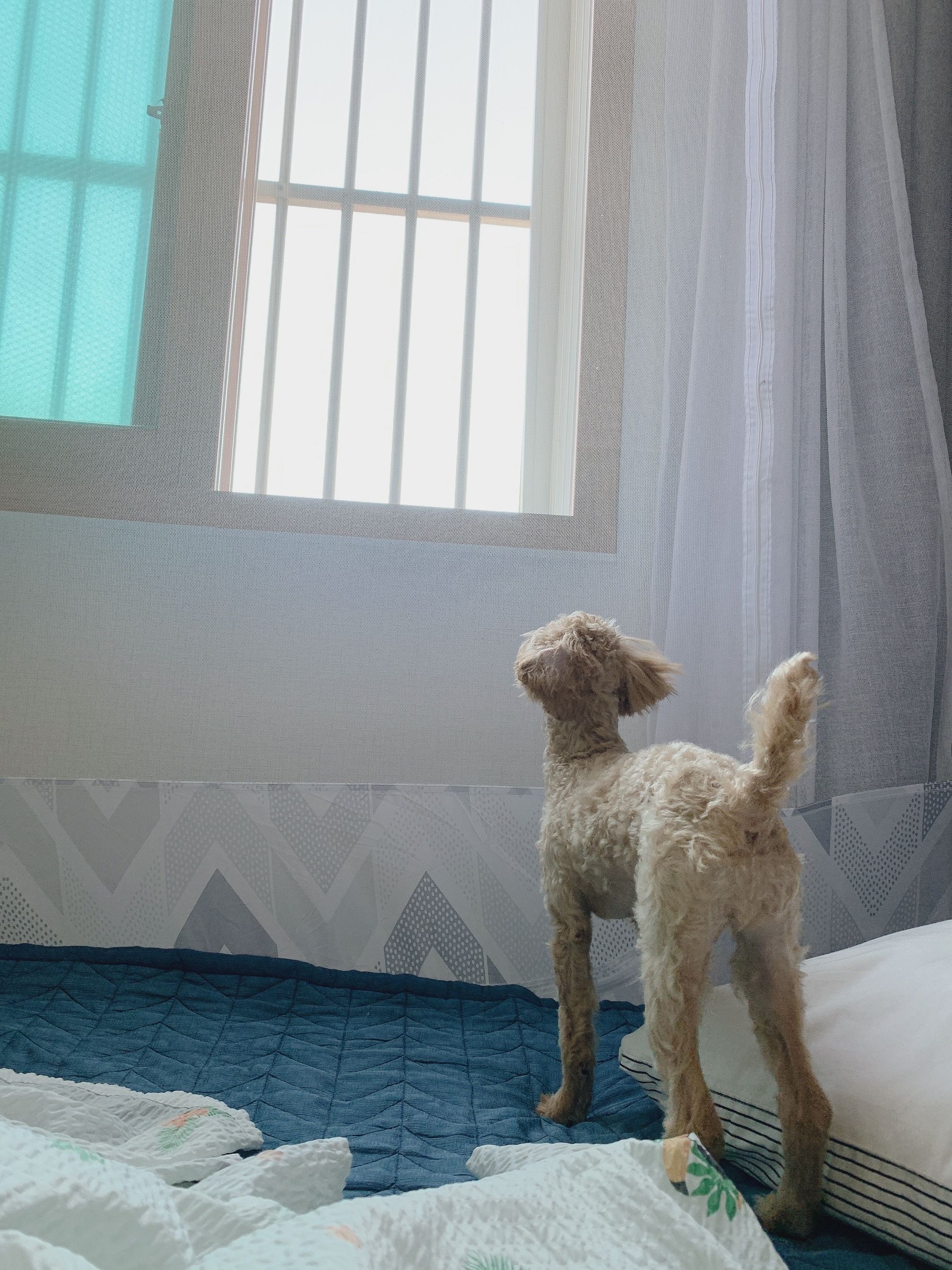 초이(곤지암-해삼) 육아 3개월의 기록