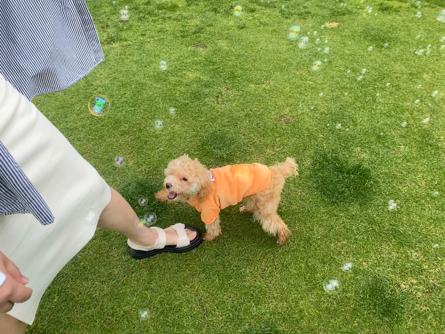 랑이(곤지암 해사) 3개월차