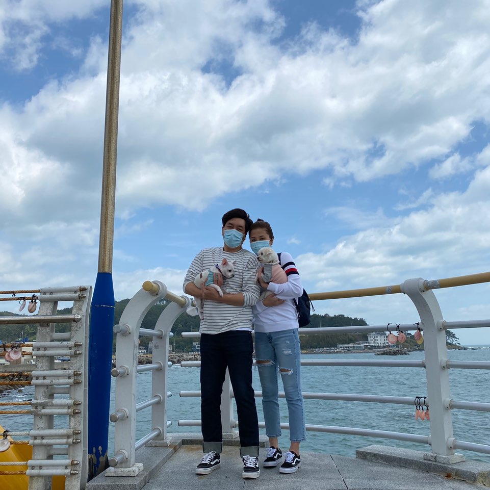 영천불법번식장구조견 포롱이 입양 1년~