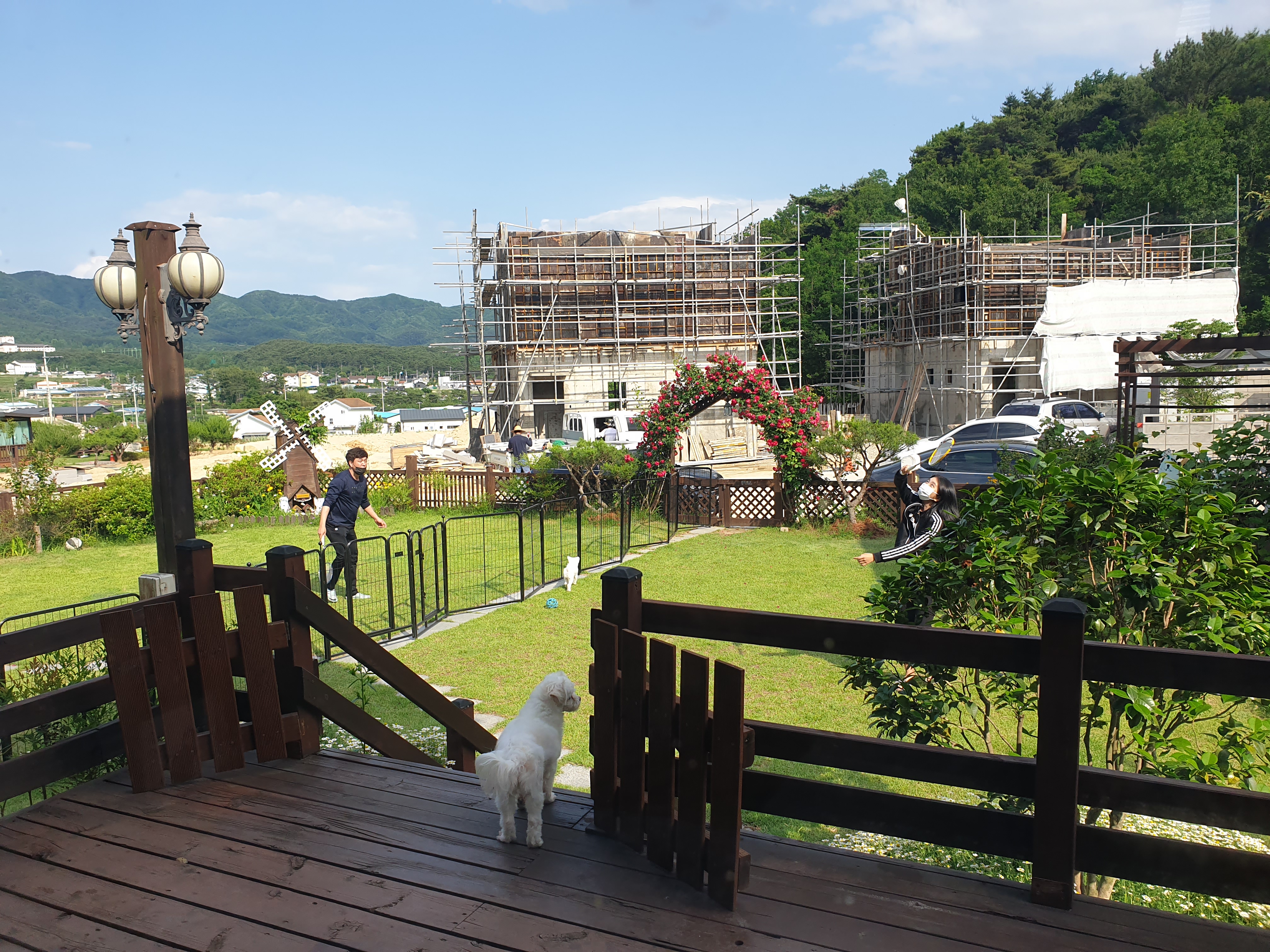 영천불법번식장구조견 포롱이 입양 1년~