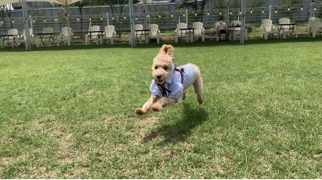 초이(곤지암-해삼) 드디어 웃었어요!!