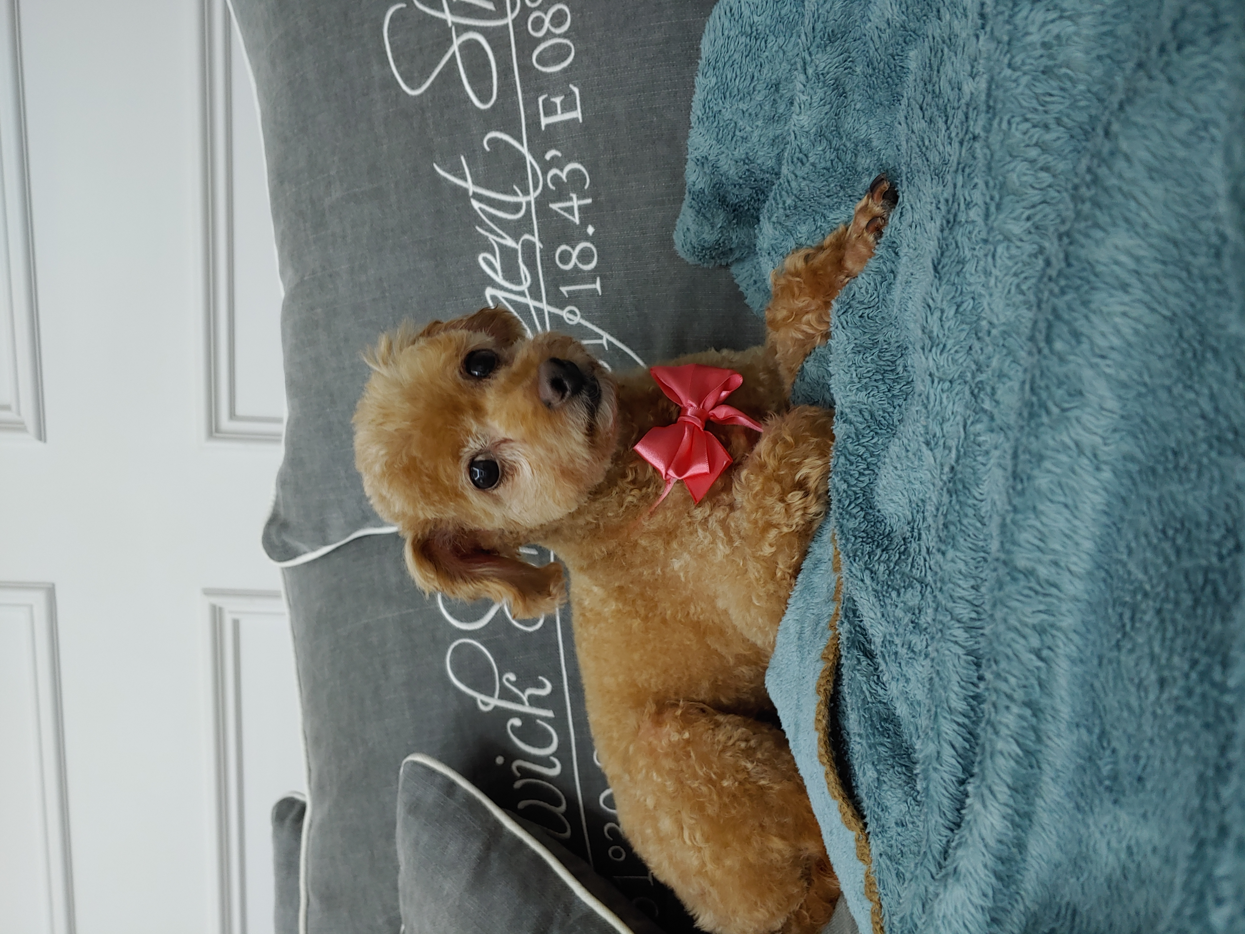 곤지암 팔랑이~~(지금은 버디^^)