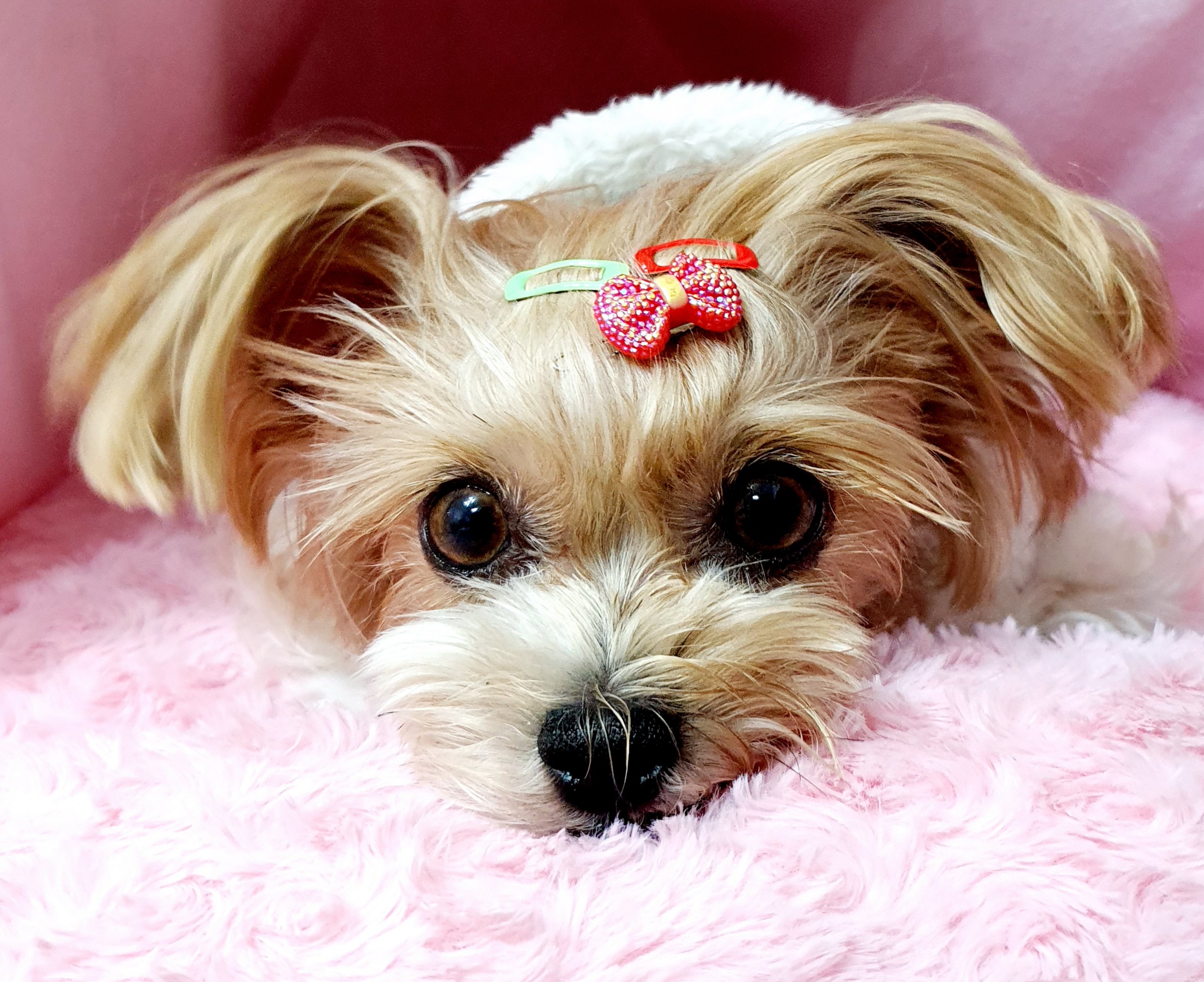 요조와 832일째 *^___^*