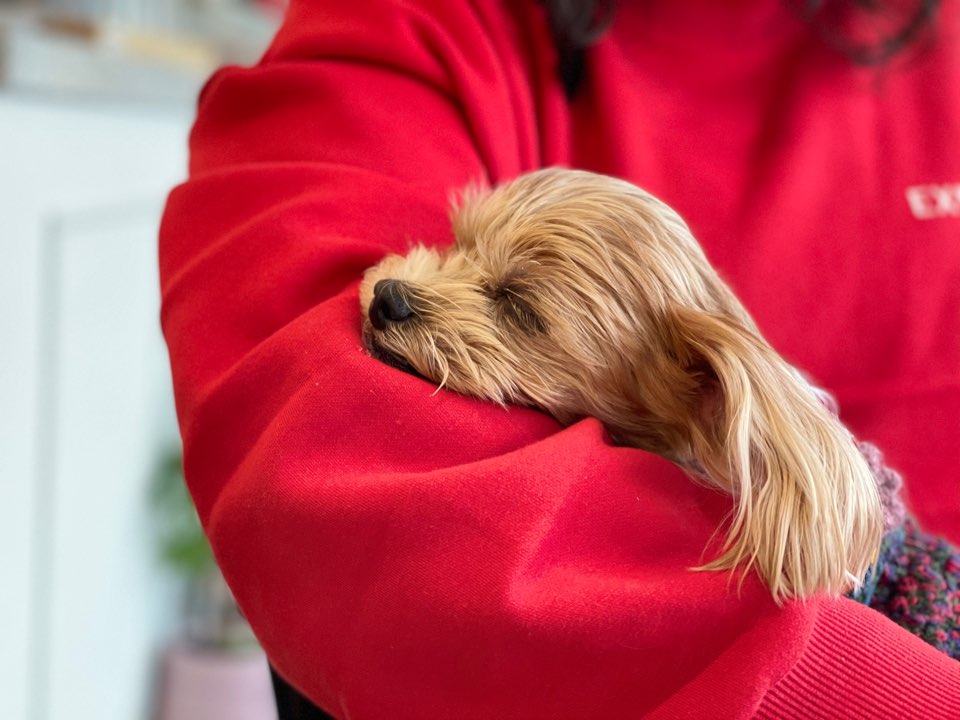 요조와 832일째 *^___^*