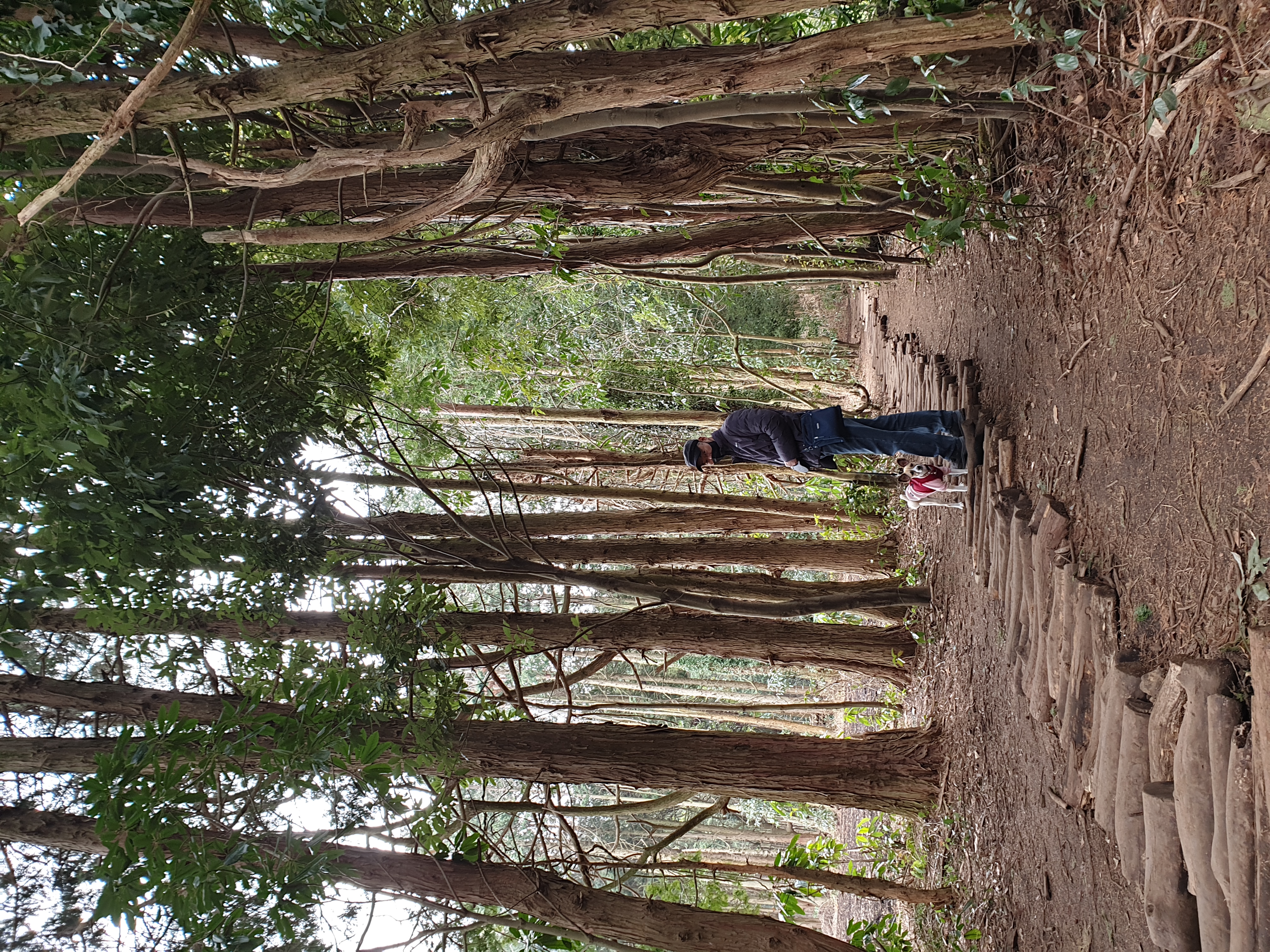 벼리(은오) 태어난지 1년 생일 축하해주세요~.^^