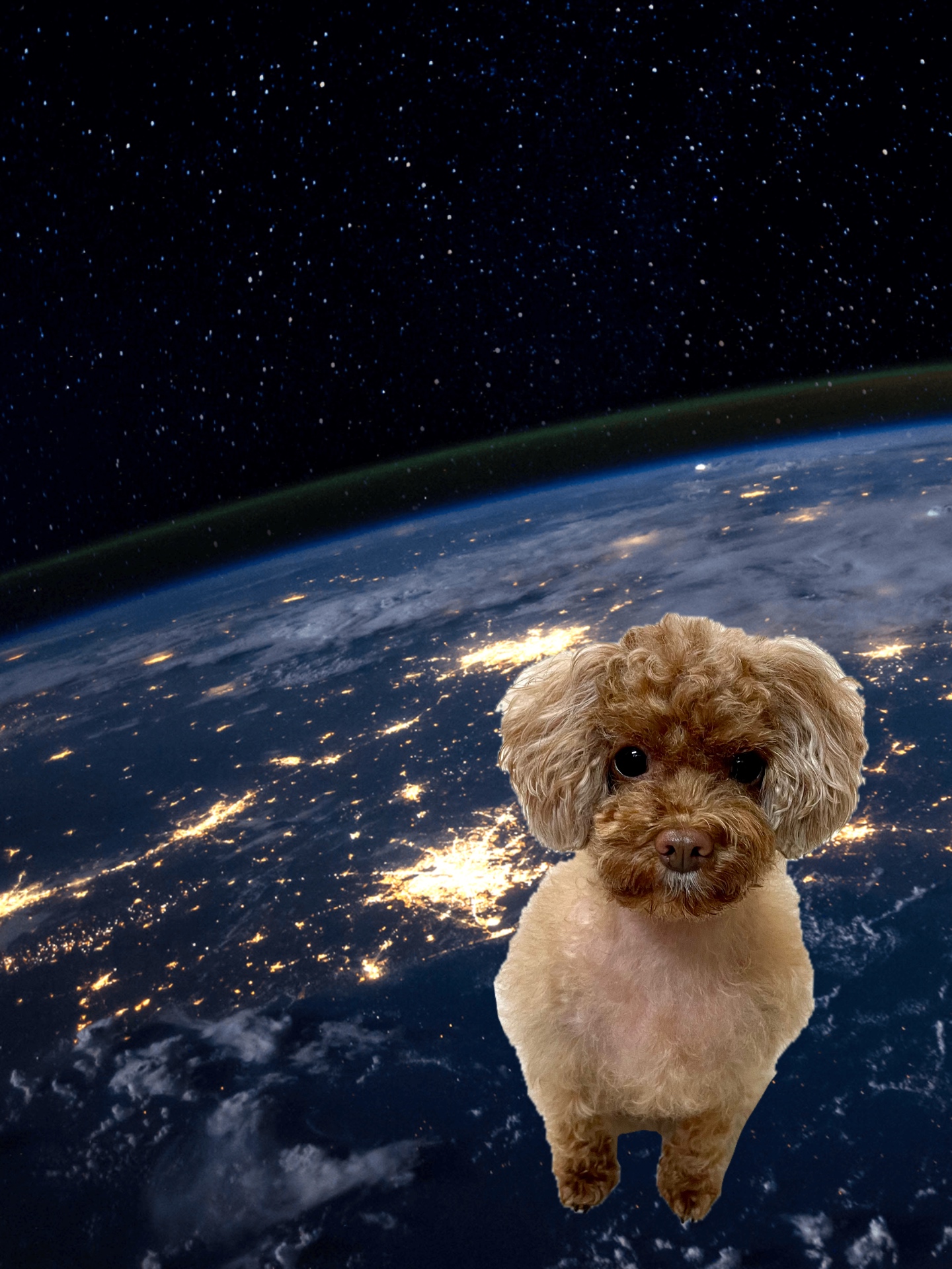 단풍이(니모) 오랜만에 소식올려요. (벌써 2년되었네요)