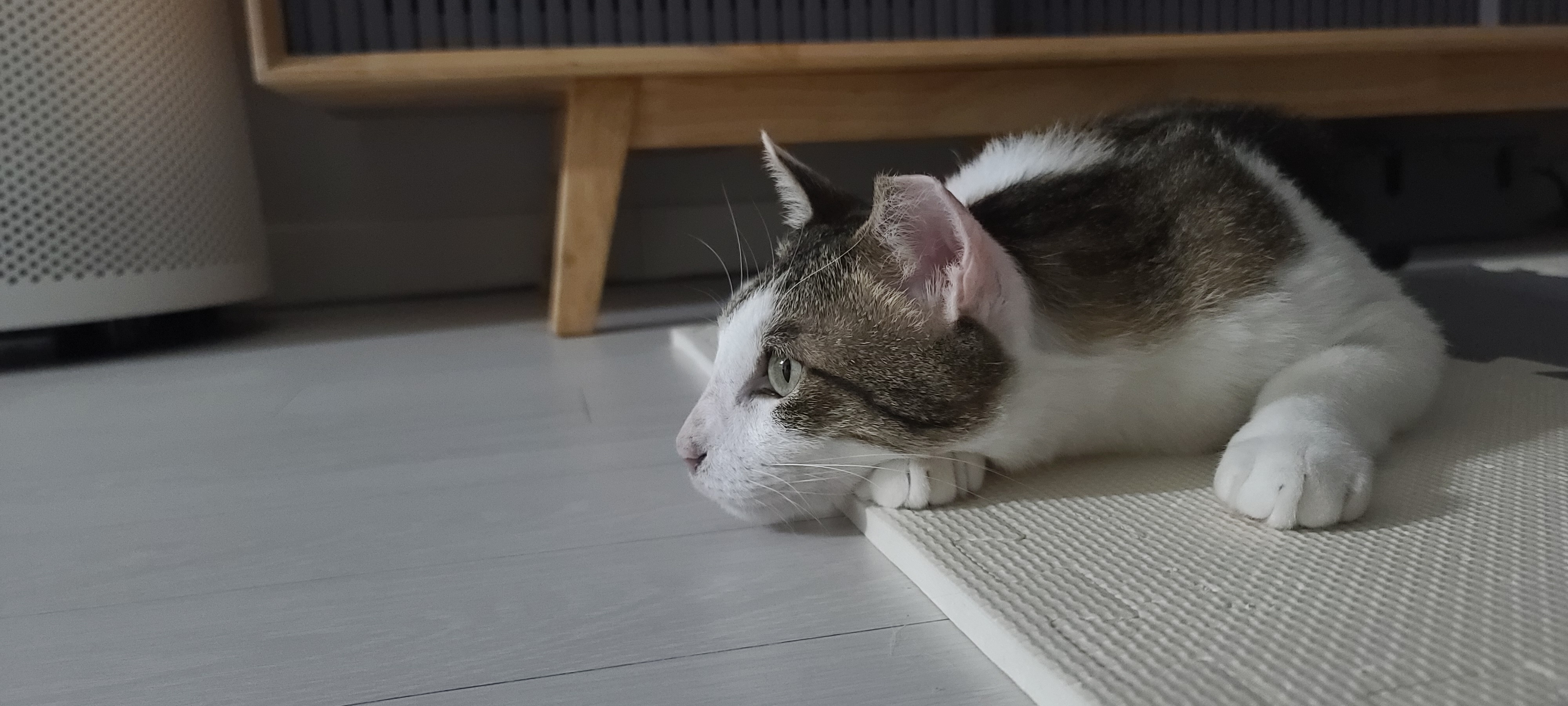 아띠와 함께 한달이~!!