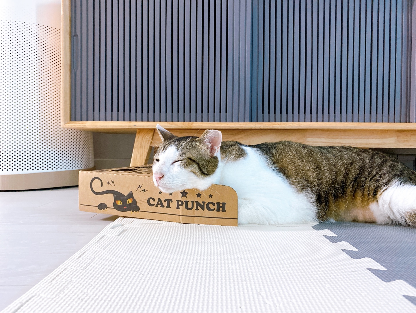 아띠와 함께 한달이~!!