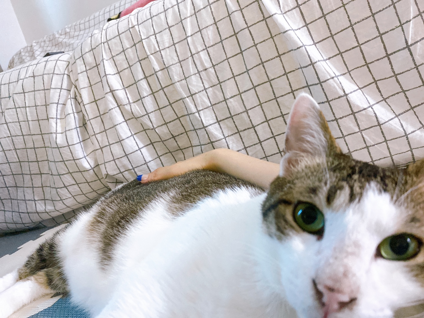 아띠와 함께 한달이~!!