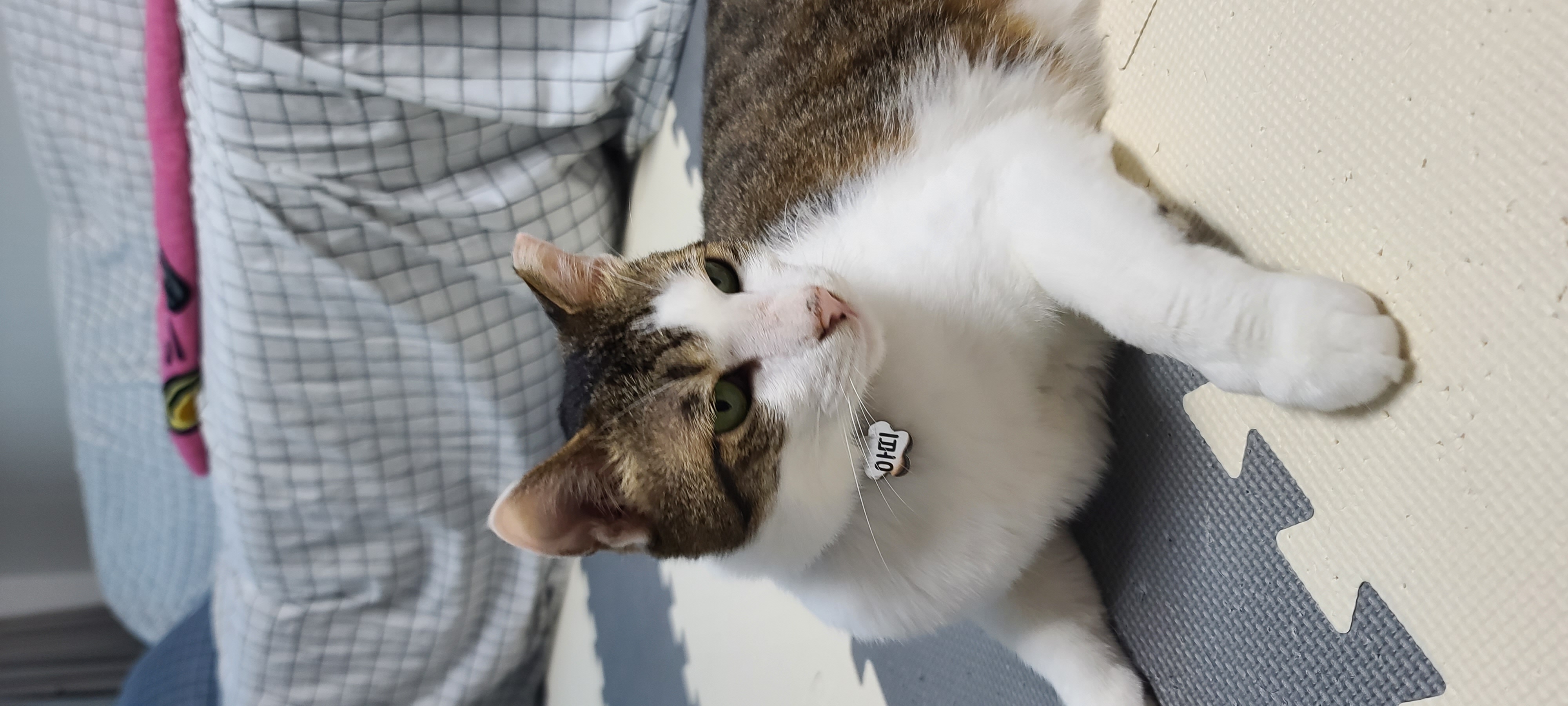 아띠와 함께 한달이~!!