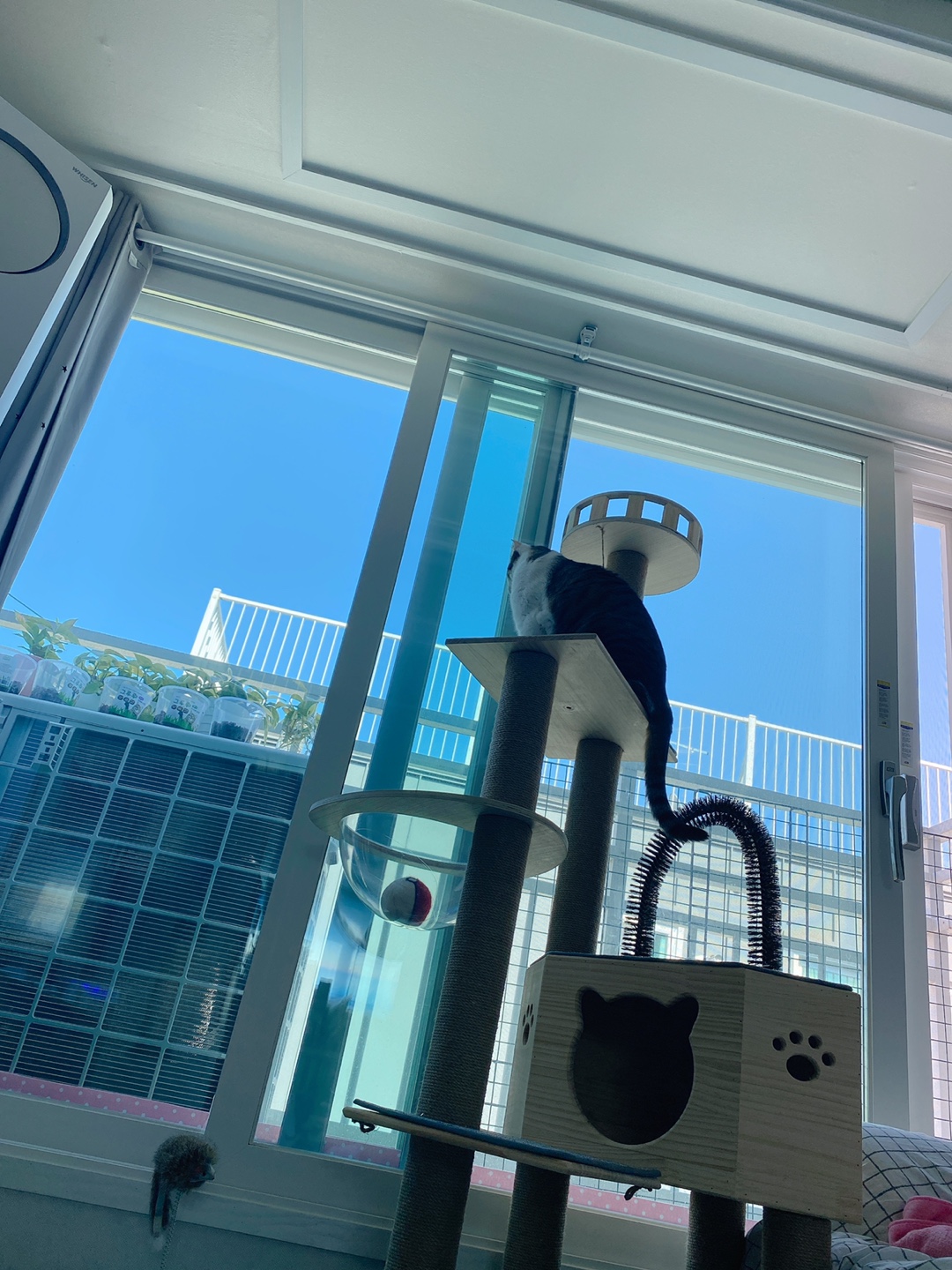 아띠와 함께 한달이~!!