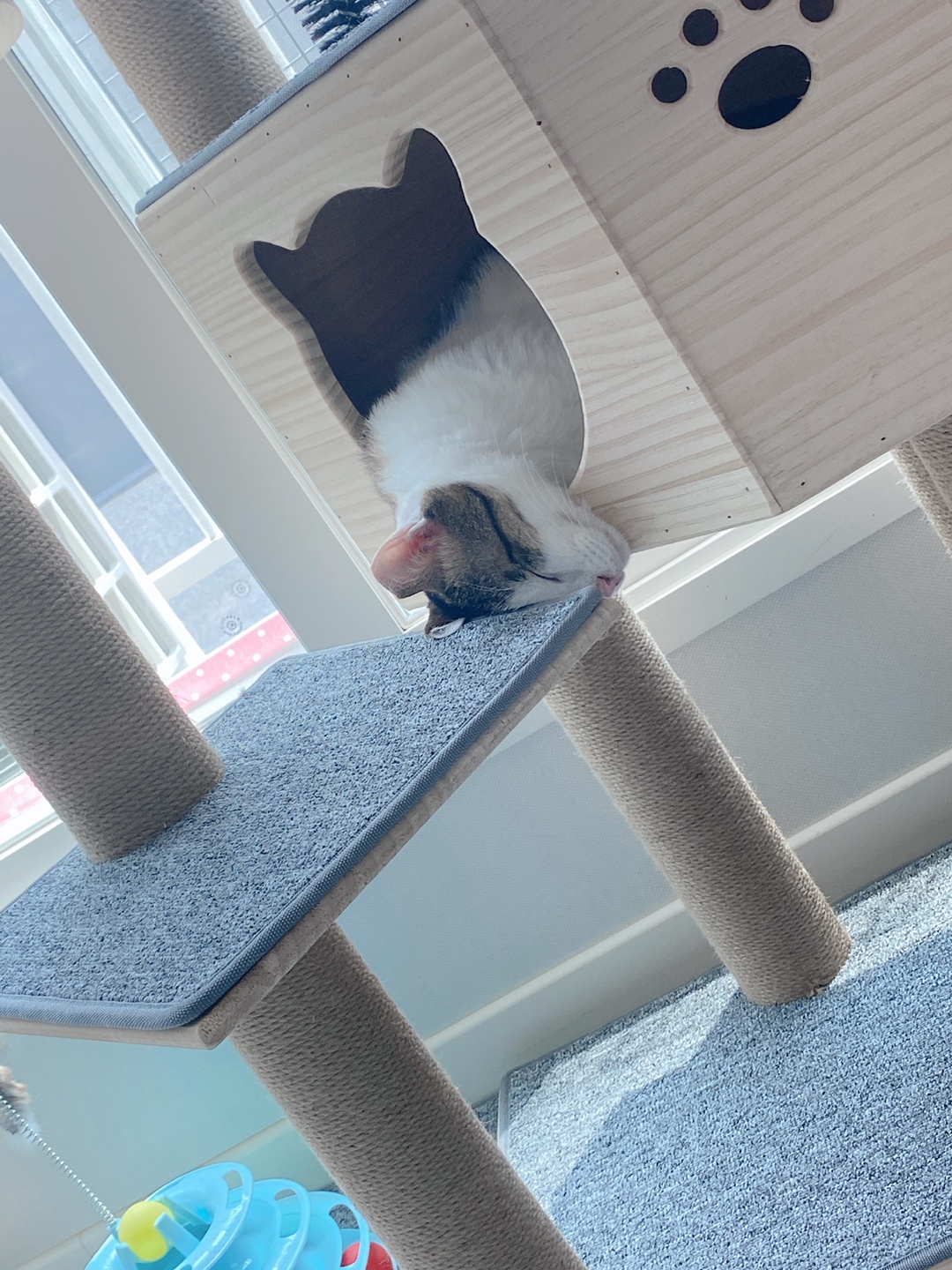 아띠와 함께 한달이~!!