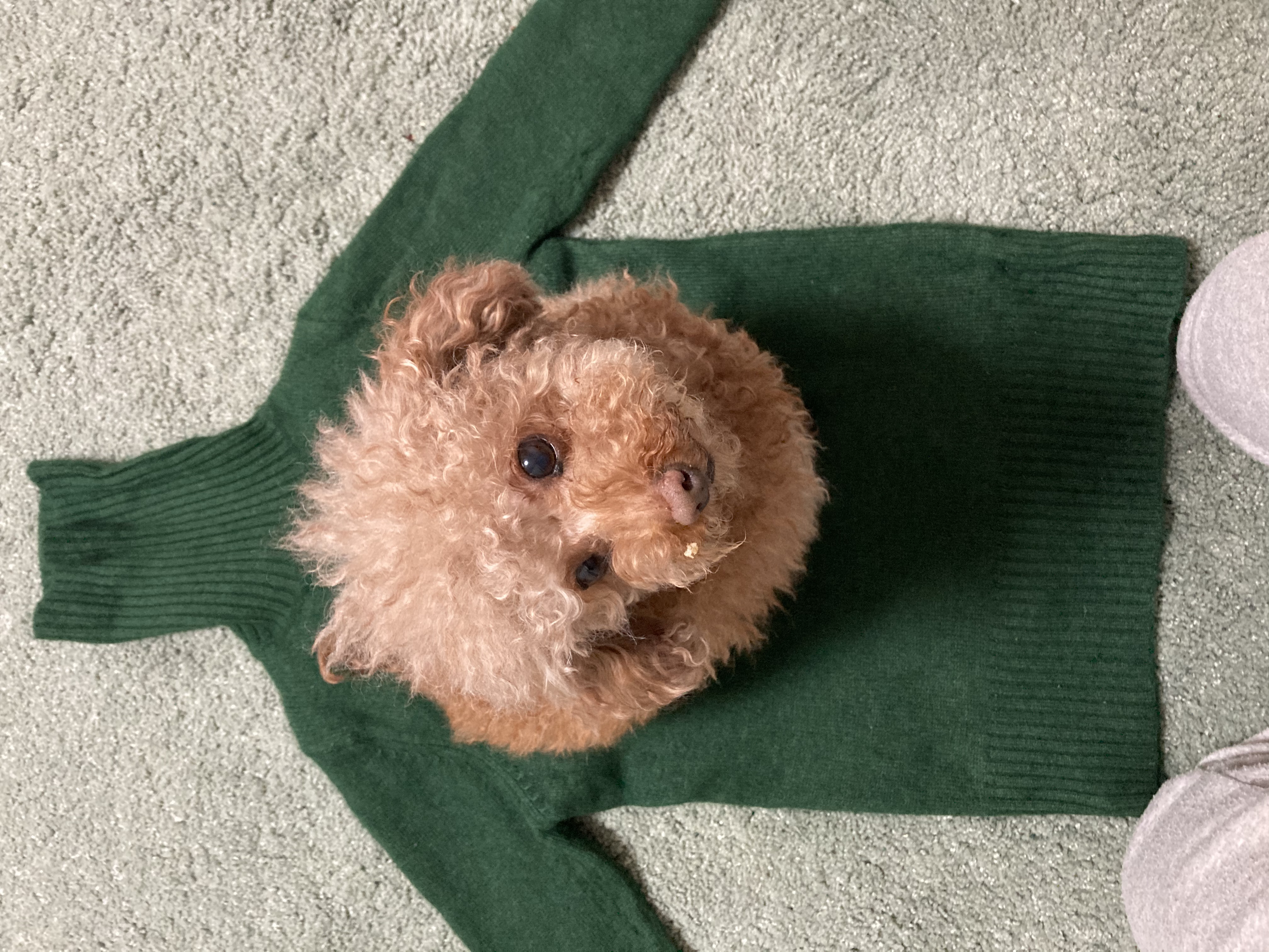 영천 메가톤 일년 인사 드립니다^^