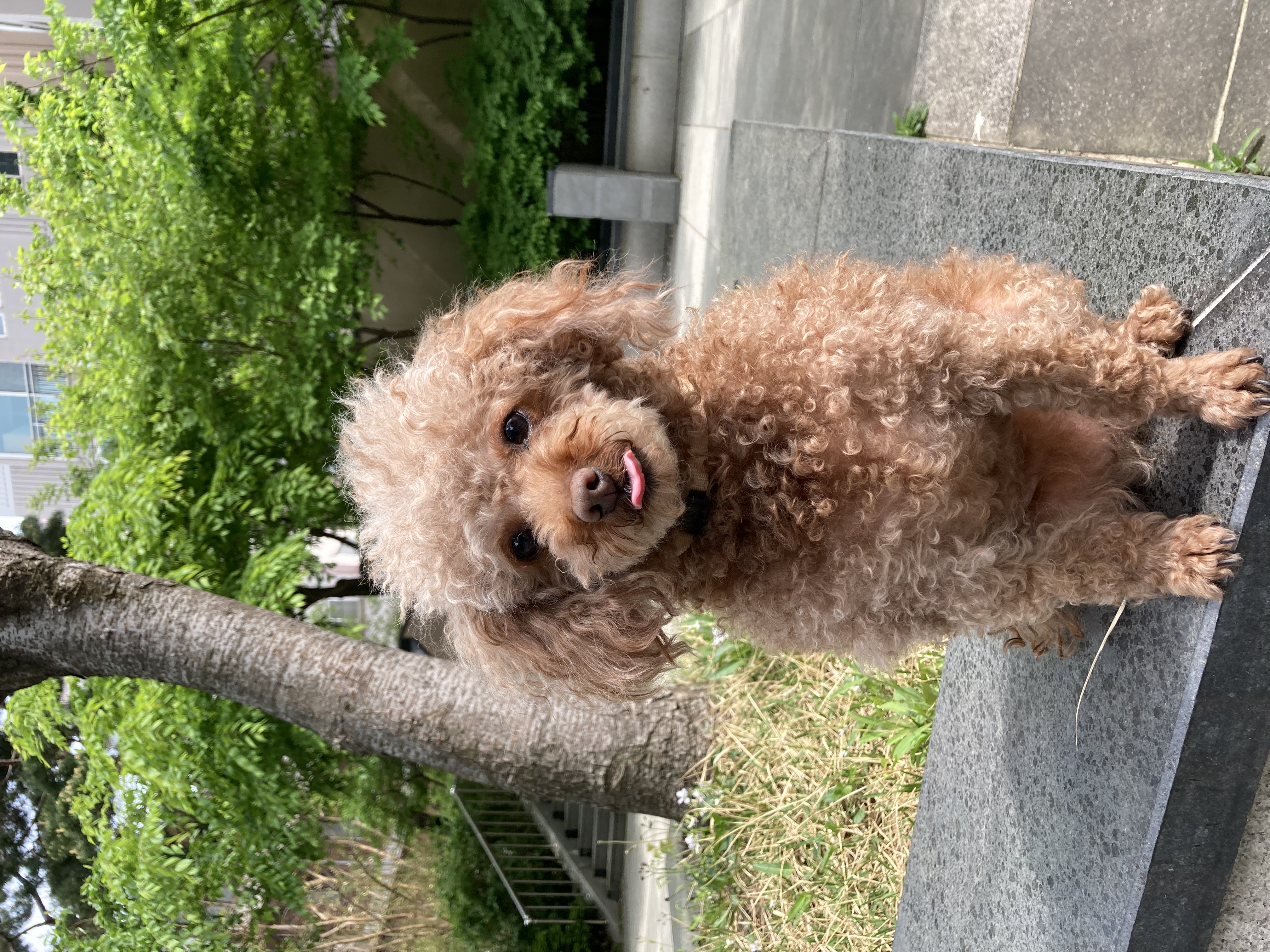 영천 메가톤 일년 인사 드립니다^^