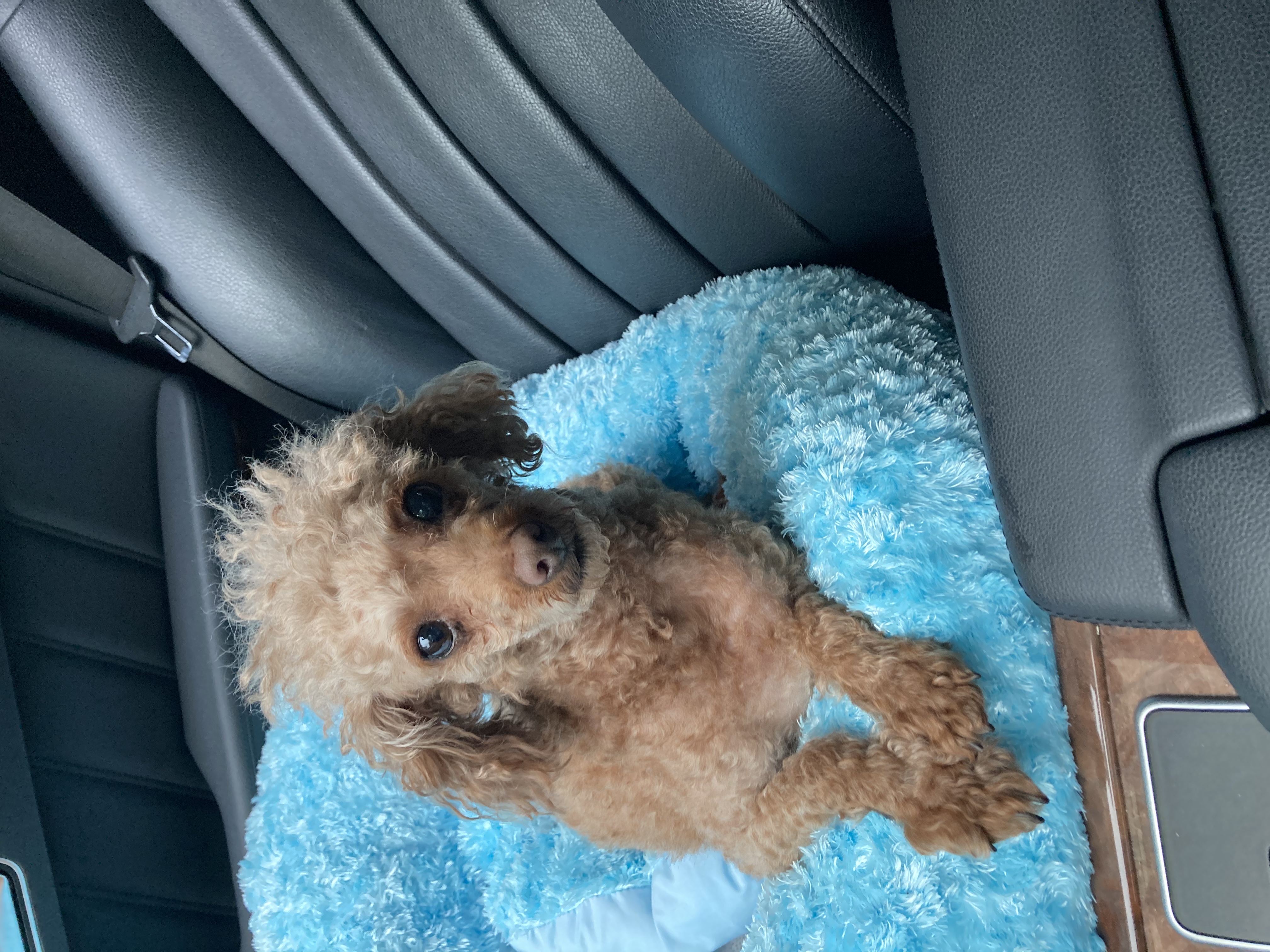 영천 메가톤 일년 인사 드립니다^^