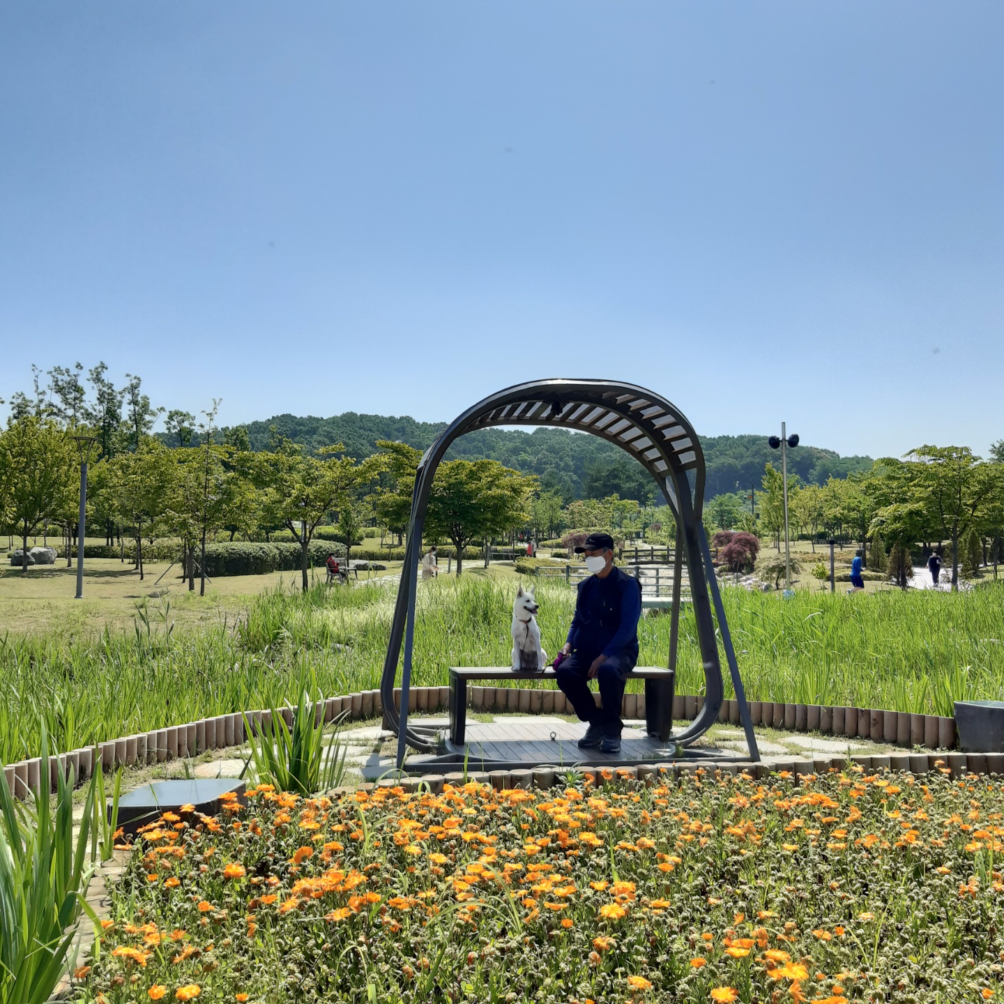 하늘이 입양 3달째(엘리나)
