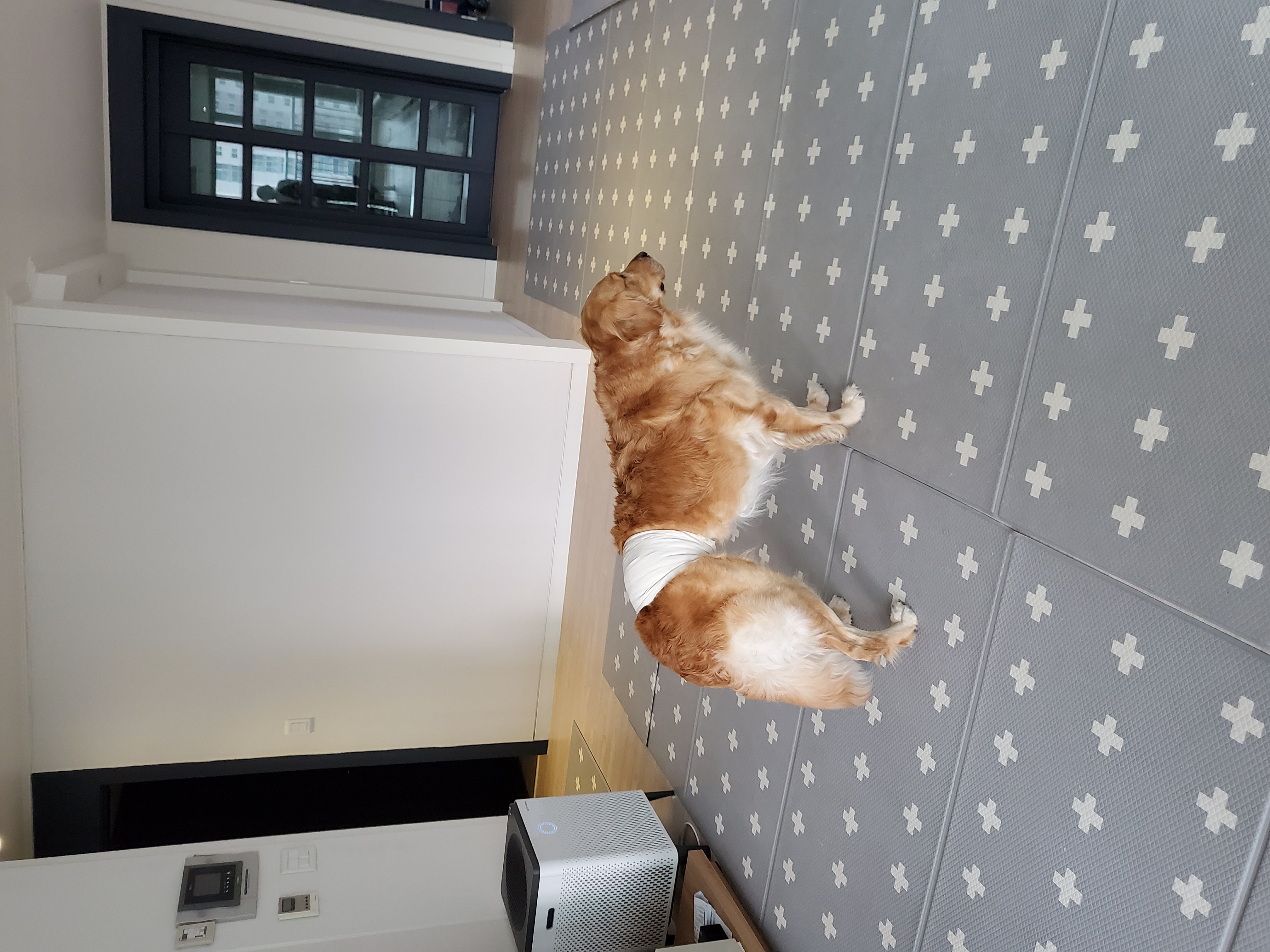 고양 다오입니다^^