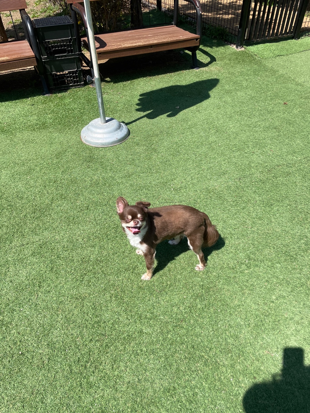 빈이(와플이) 2년후기