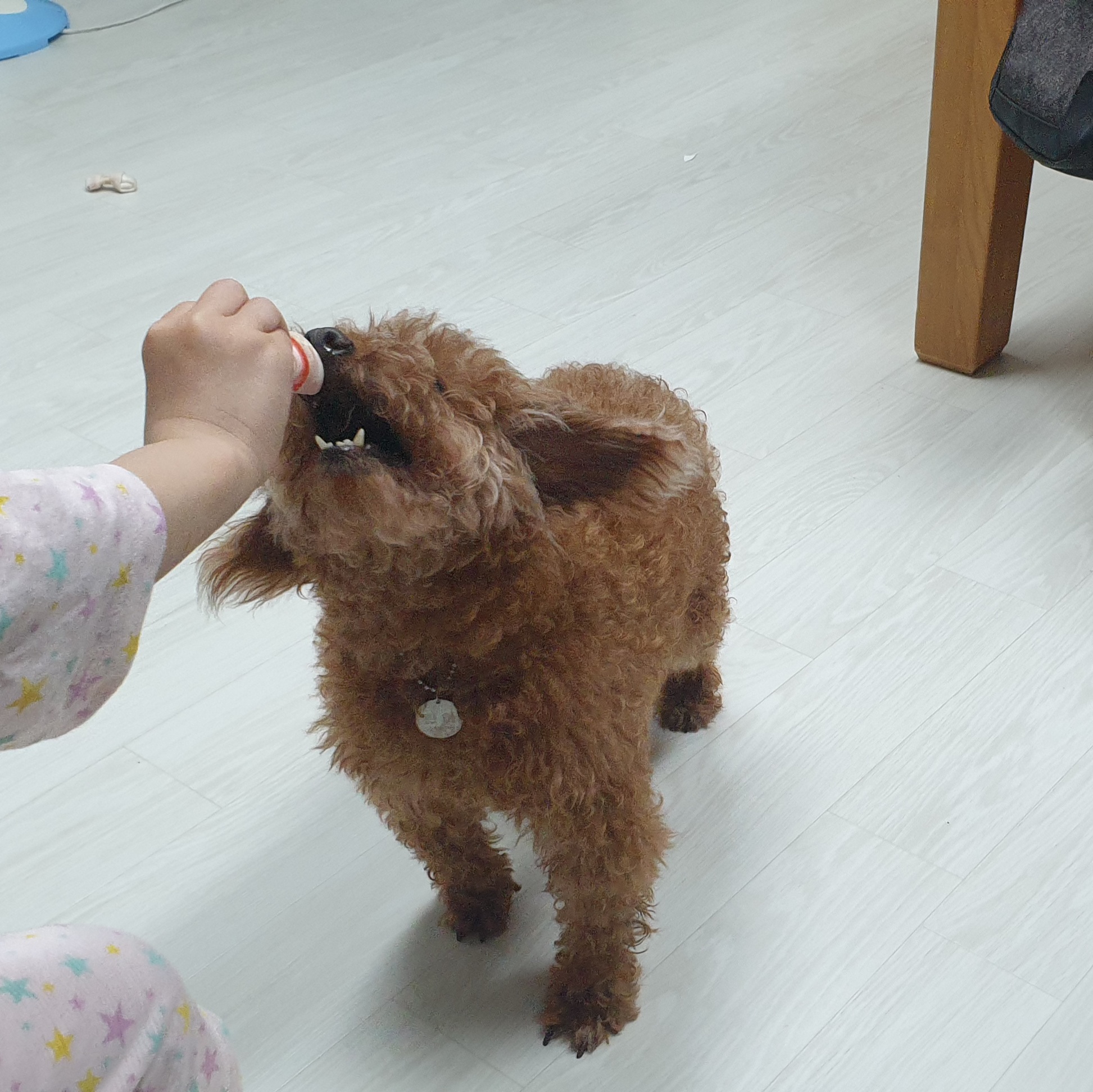 곤지암 군밤이 3개월차