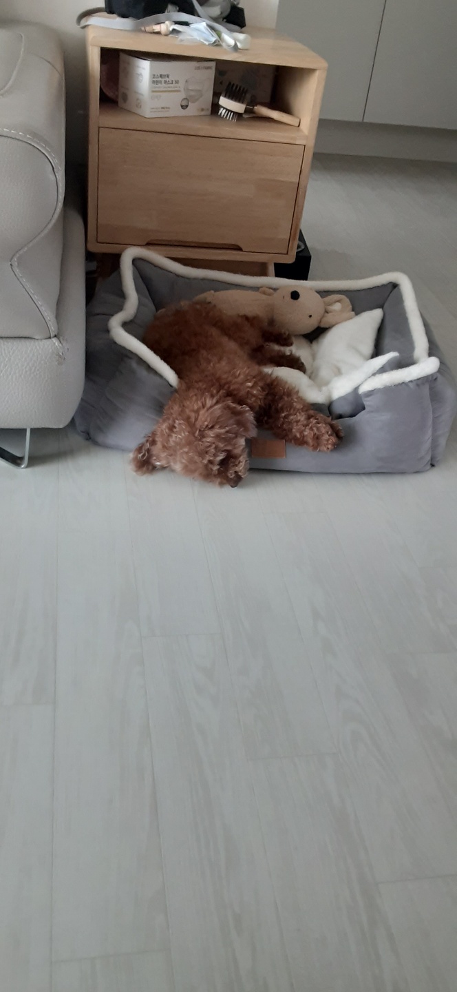 곤지암 군밤이 3개월차