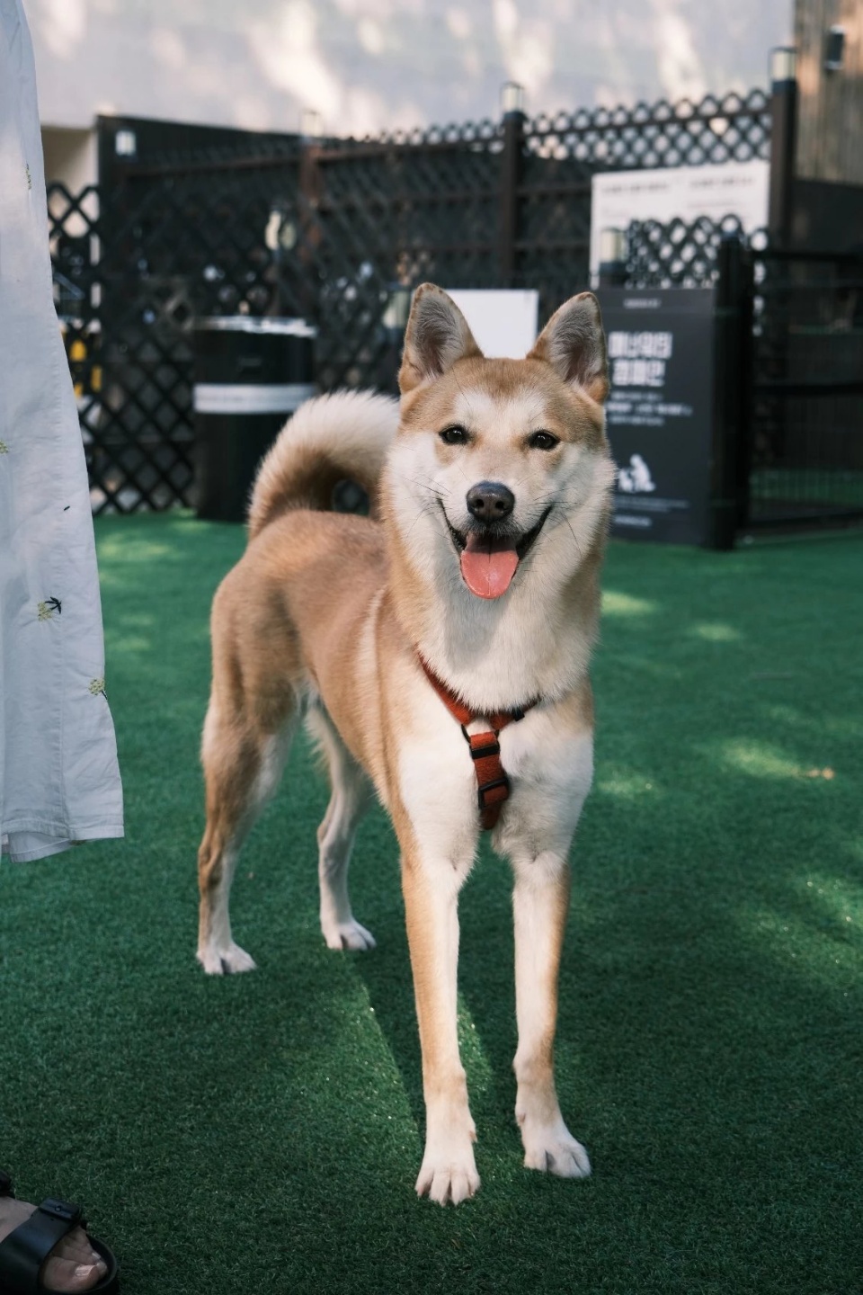 우리 밤비는요~~~