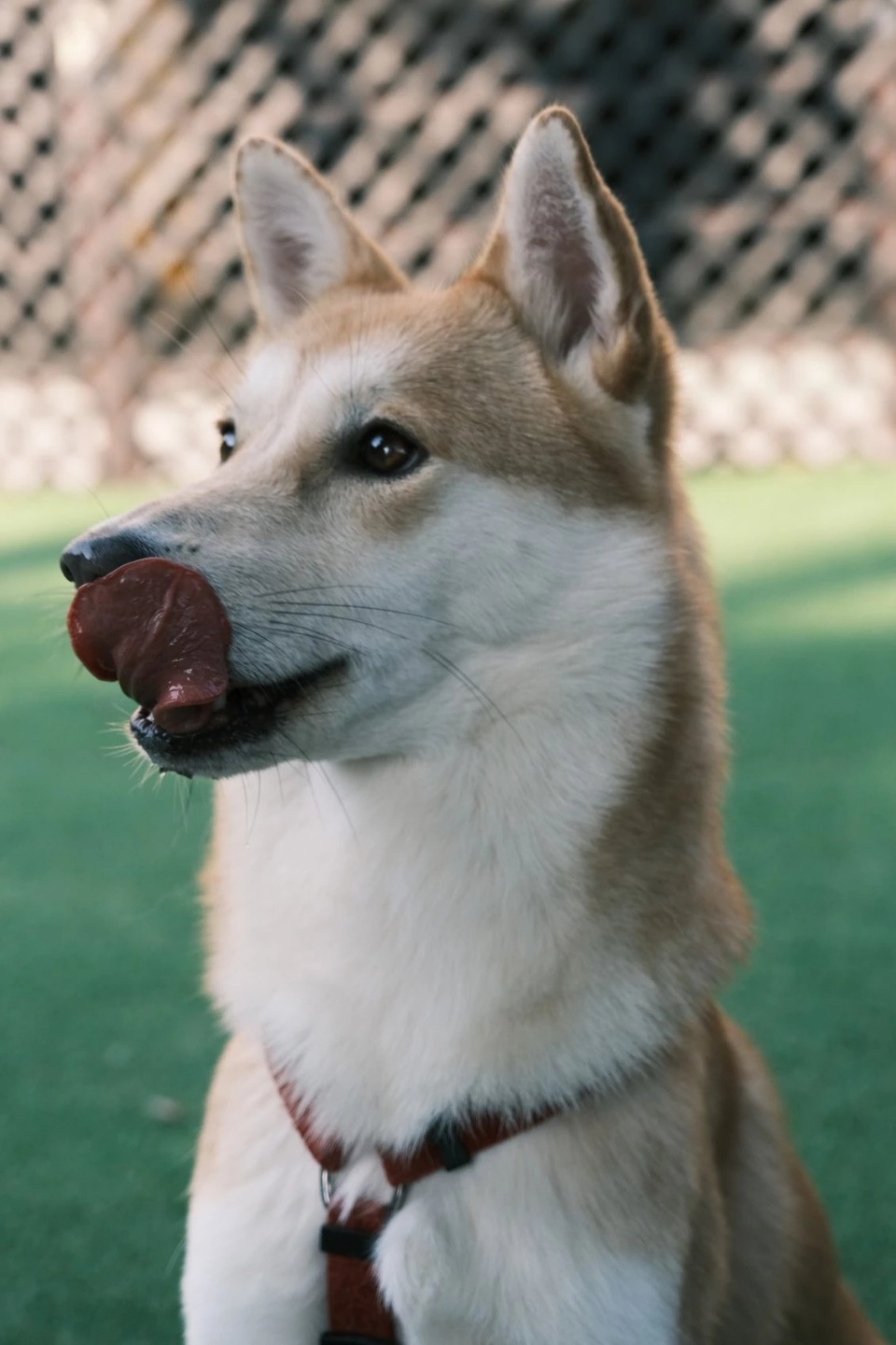 우리 밤비는요~~~
